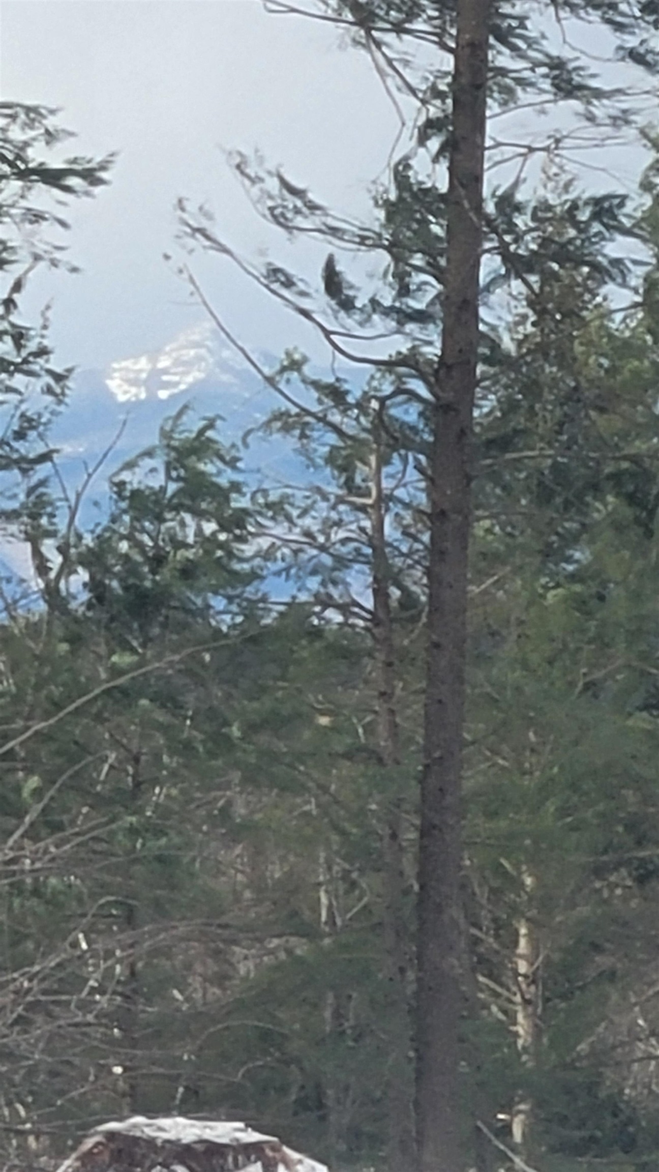 MLS #5071473 image #18