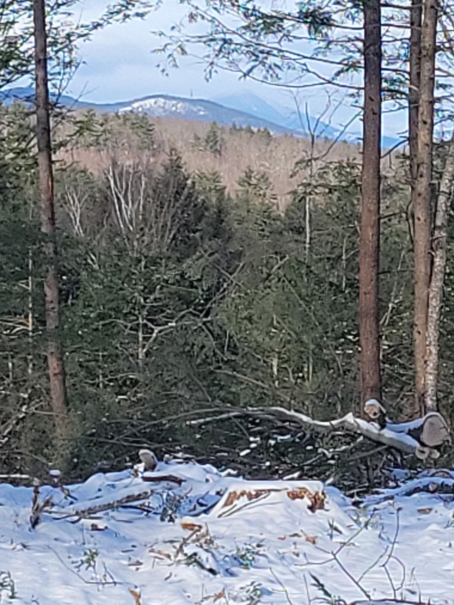 Homes for sale in Ossipee, NH | 91-95 Elm St, Ossipee, NH 03864 | MLS# 5071473