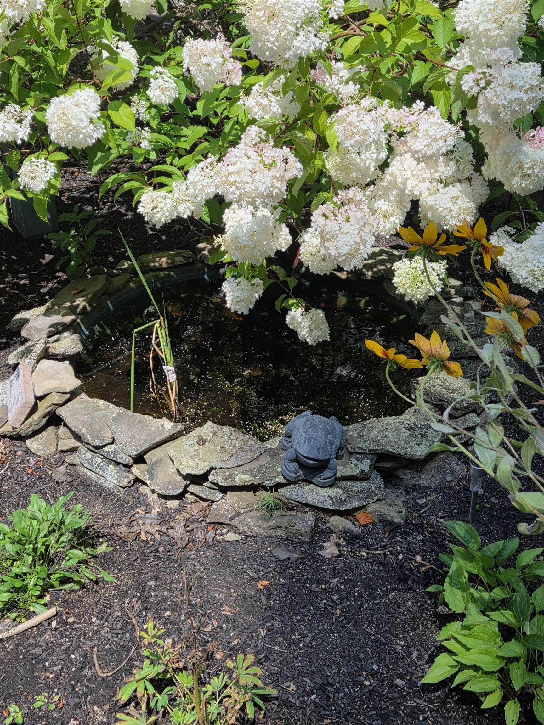 MLS #5071483 image #46