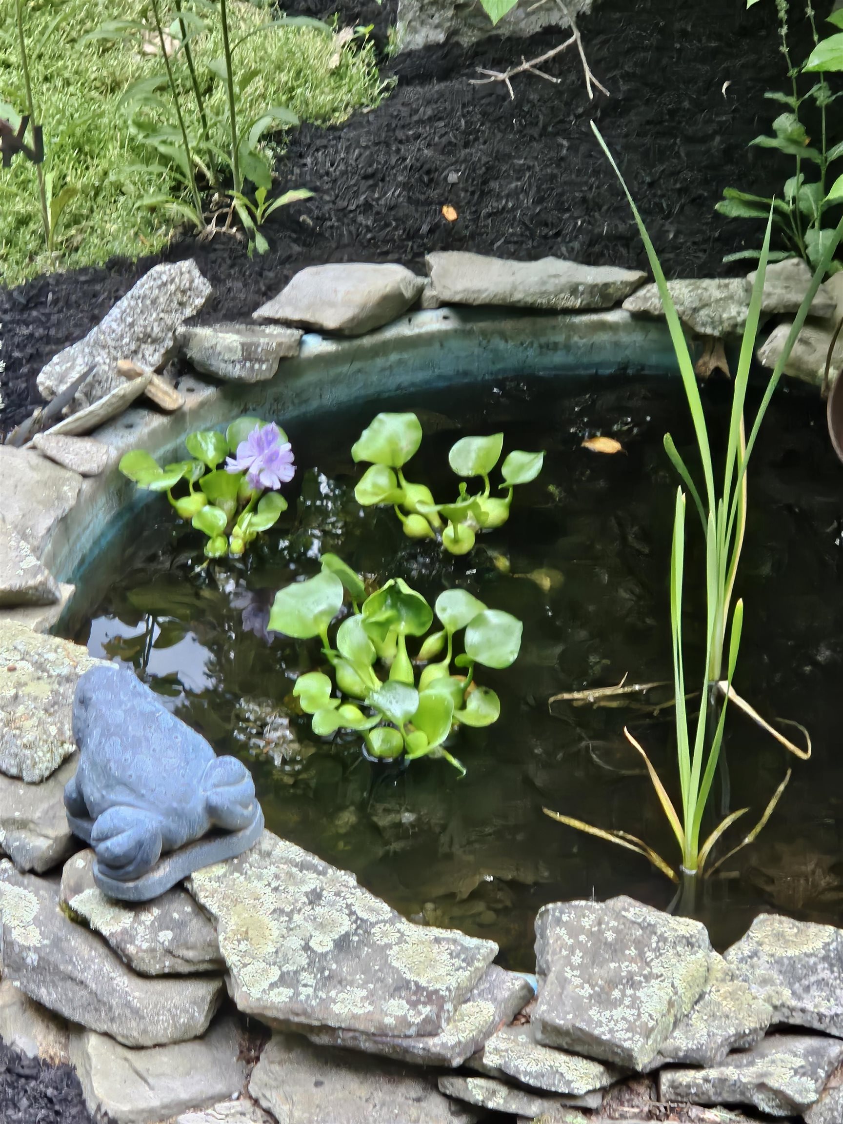 MLS #5071483 image #47