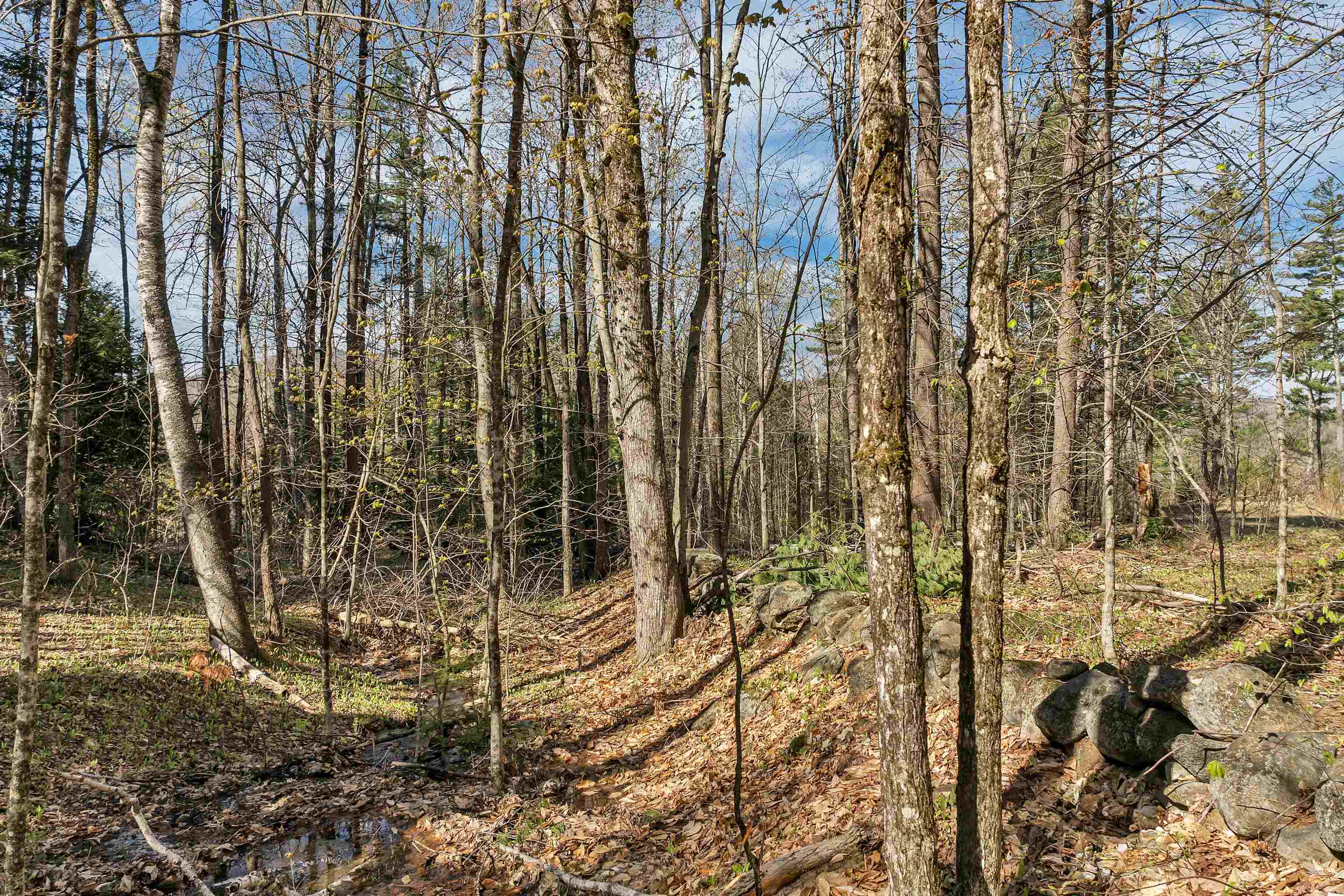 Homes for sale in Meredith, NH | 00 Pinnacle Ridge Rd, Meredith, NH 03253 | MLS# 5071496