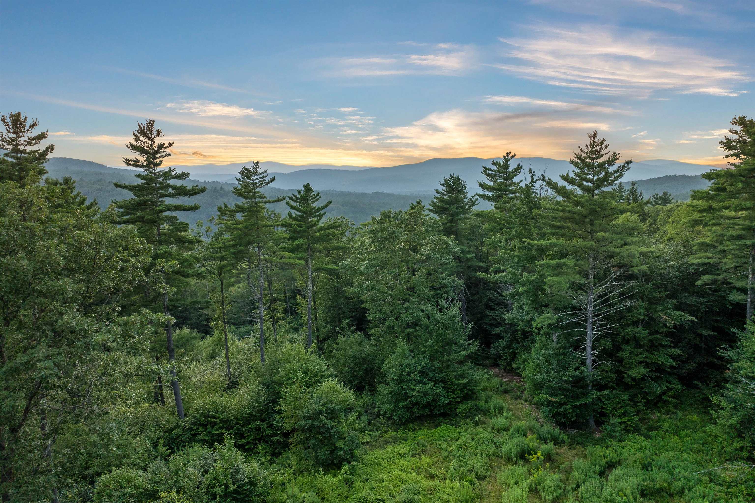 MLS #5071496 image #6