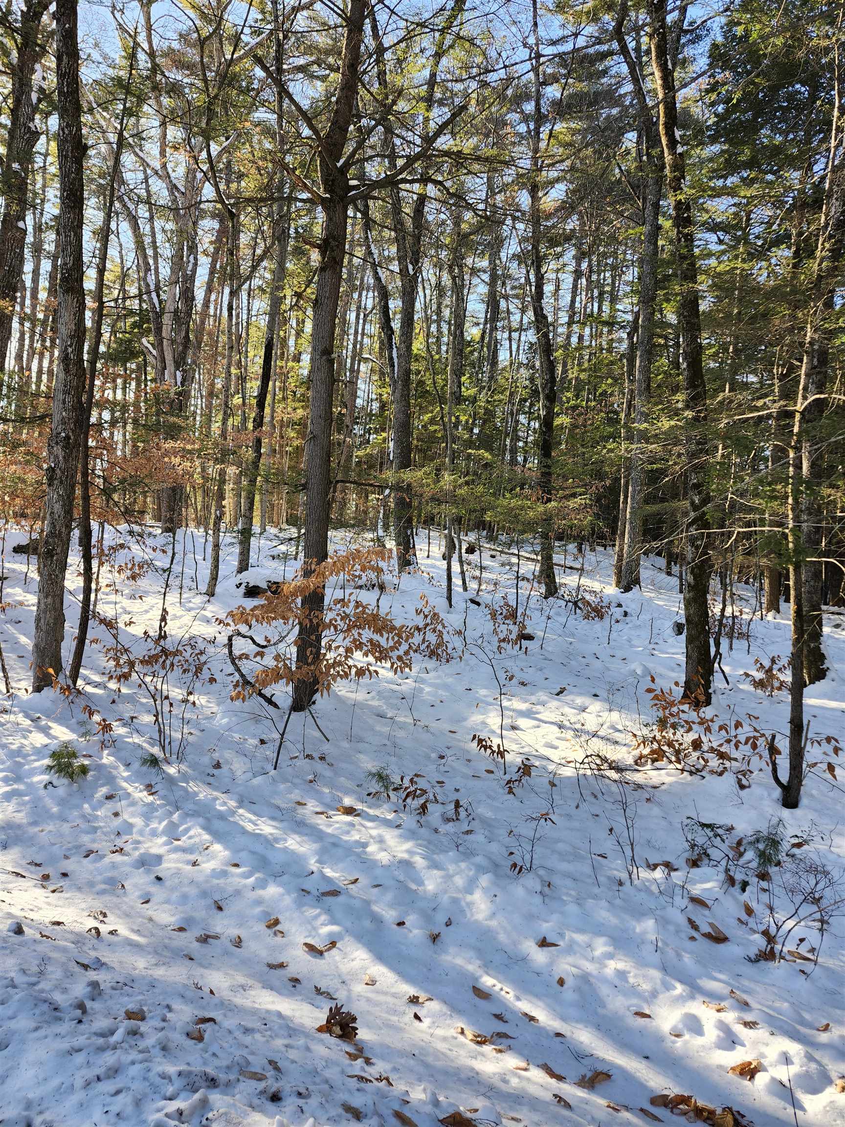 MLS #5071505 image #4