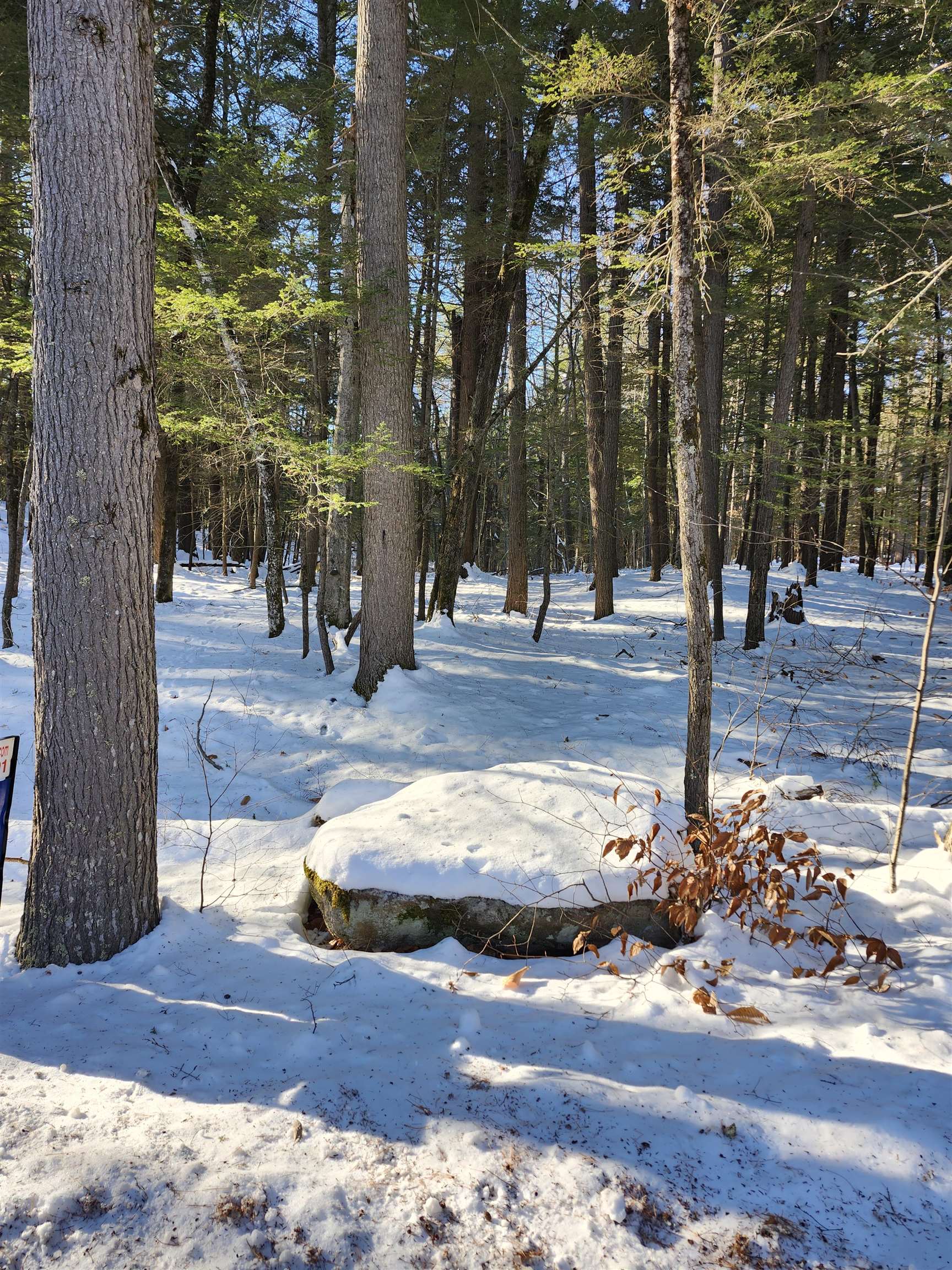 MLS #5071505 image #5