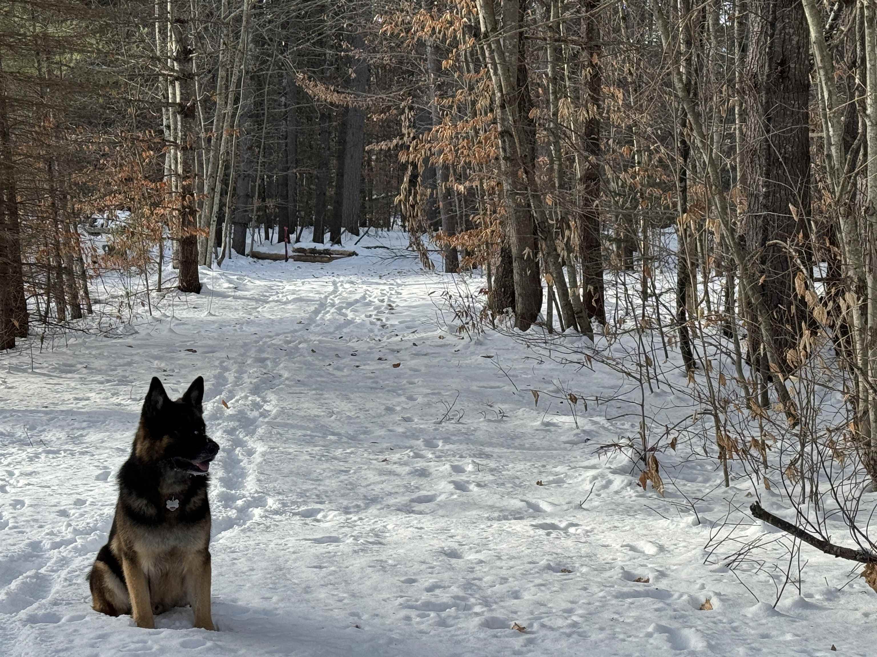 Homes for sale in Tamworth, NH | 68 Gilman Valley Rd, Tamworth, NH 03883 | MLS# 5071573