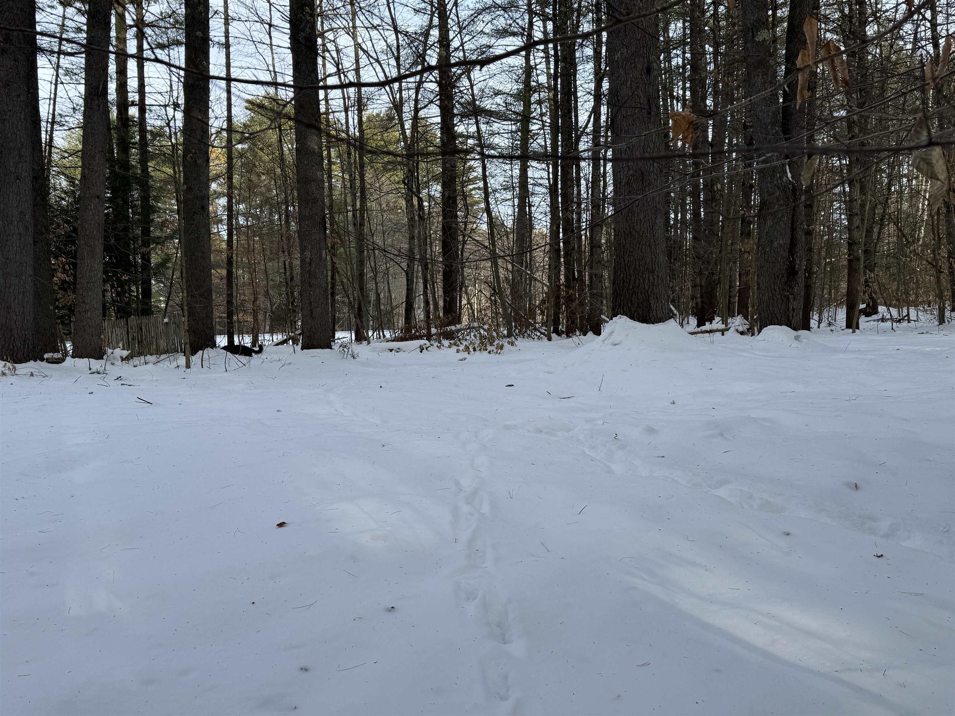 Homes for sale in Tamworth, NH | 68 Gilman Valley Rd, Tamworth, NH 03883 | MLS# 5071573