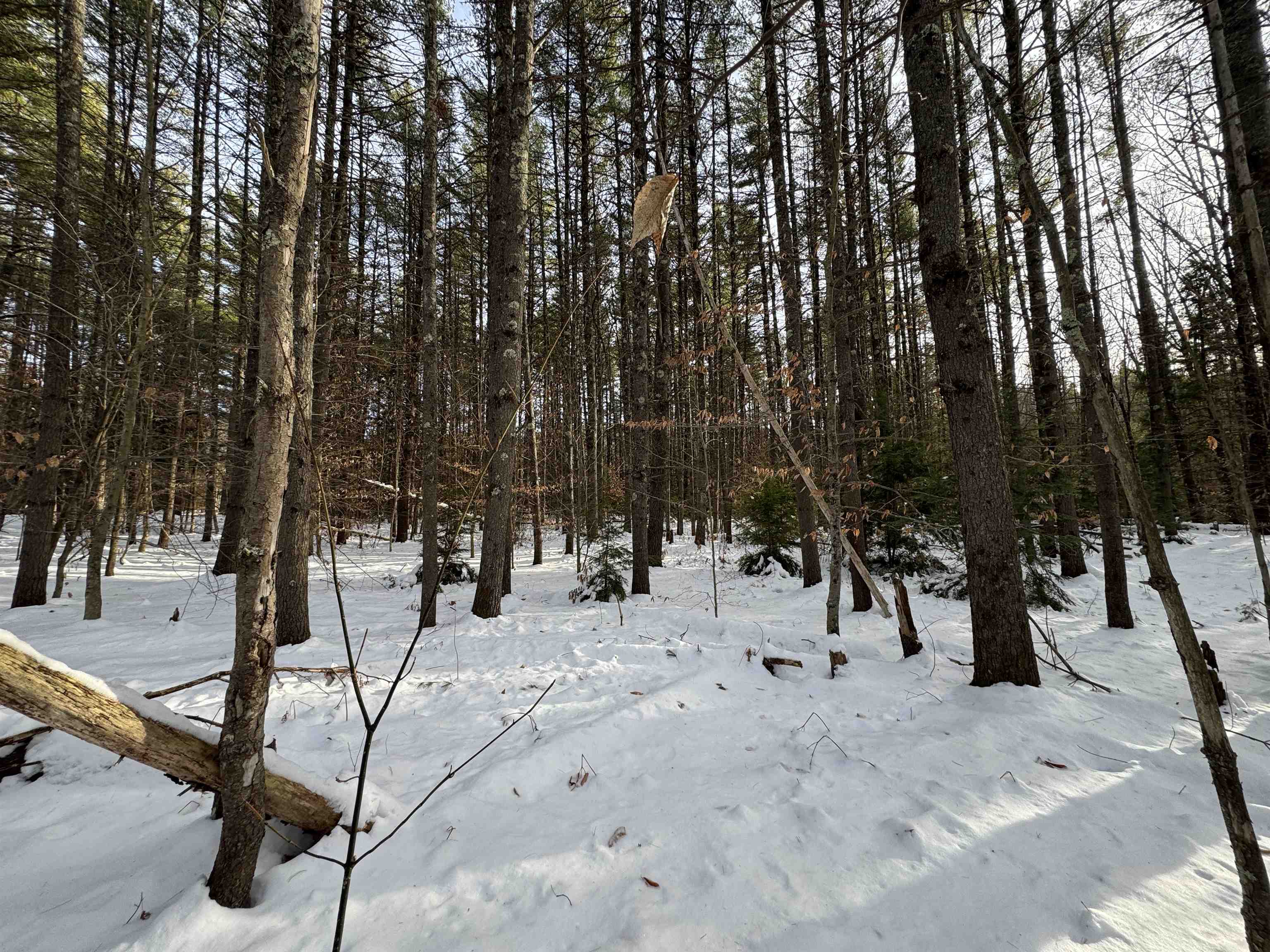 Homes for sale in Tamworth, NH | 00 Route 25 W, Tamworth, NH 03883 | MLS# 5071575