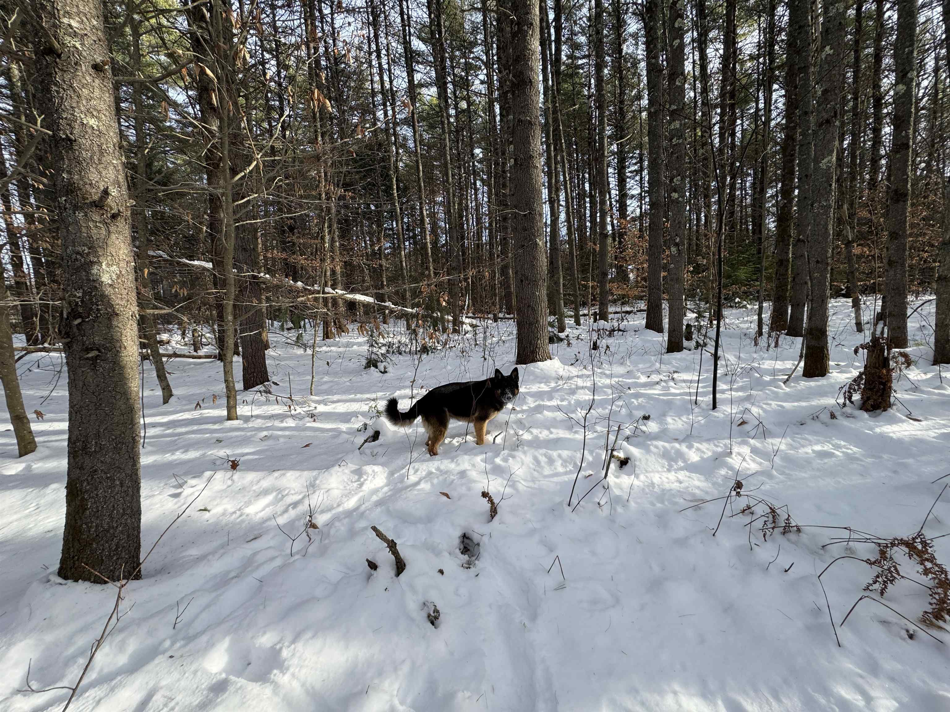 Homes for sale in Tamworth, NH | 00 Route 25 W, Tamworth, NH 03883 | MLS# 5071575