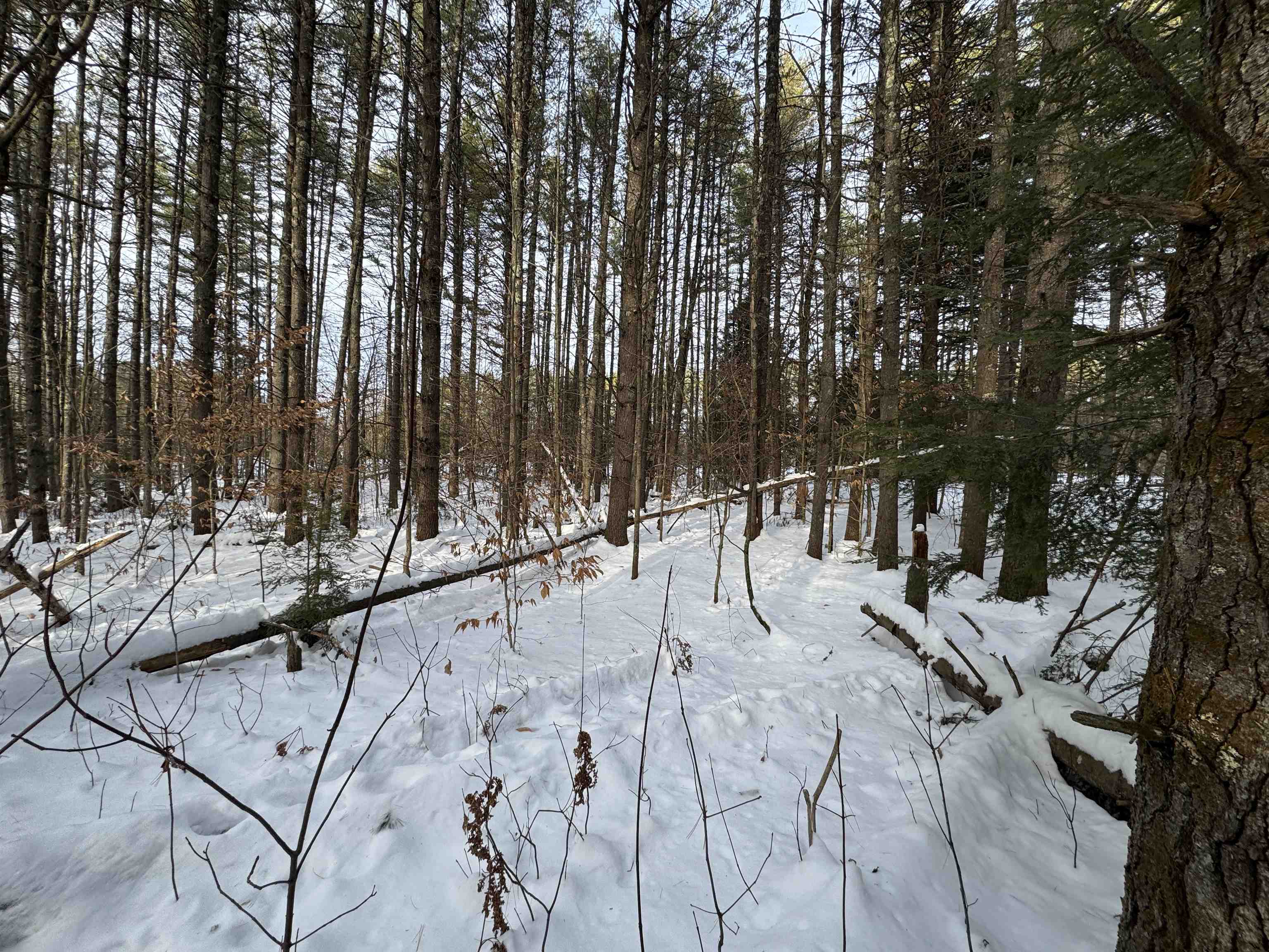 Homes for sale in Tamworth, NH | 00 Route 25 W, Tamworth, NH 03883 | MLS# 5071575