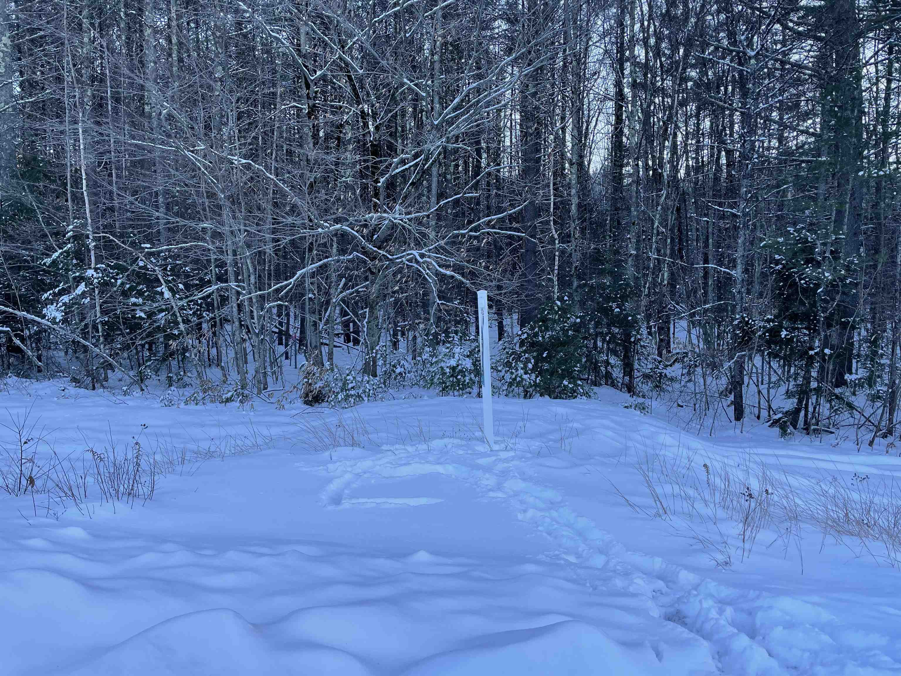 Homes for sale in Tamworth, NH | 68 & 00 Gilman Valley & Route 25 W, Tamworth, NH 03883 | MLS# 5071576