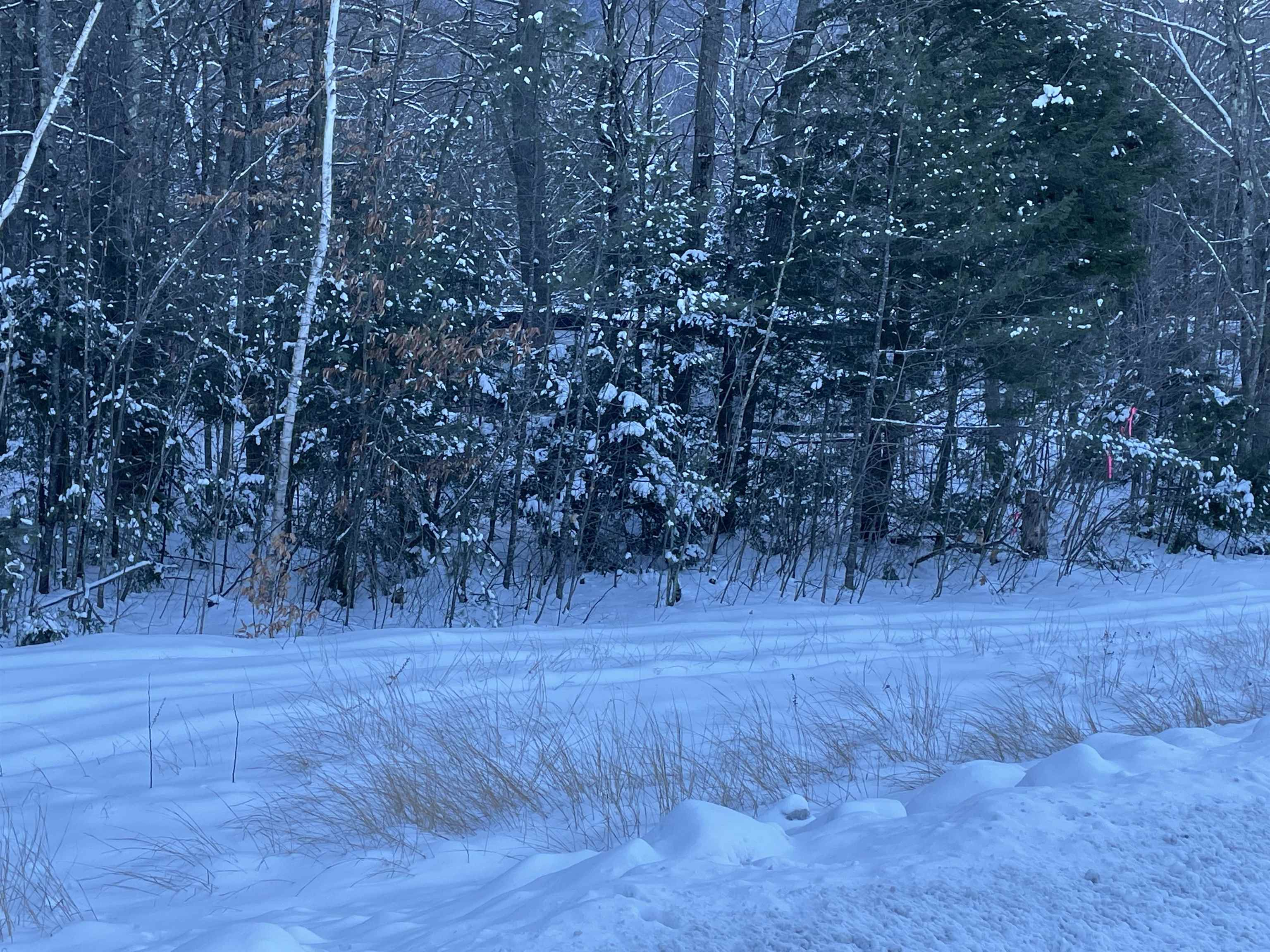 Homes for sale in Tamworth, NH | 68 & 00 Gilman Valley & Route 25 W, Tamworth, NH 03883 | MLS# 5071576