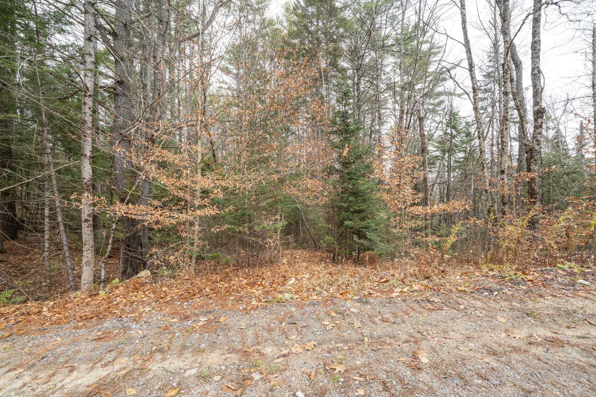 MLS #5071587 image #14