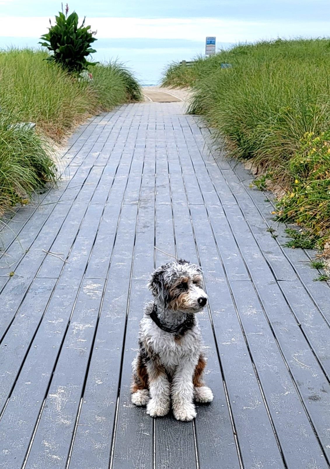 Homes for sale in Seabrook, NH | 108 Ocean Dr #Unit 1, Seabrook, NH 03874 | MLS# 5071641