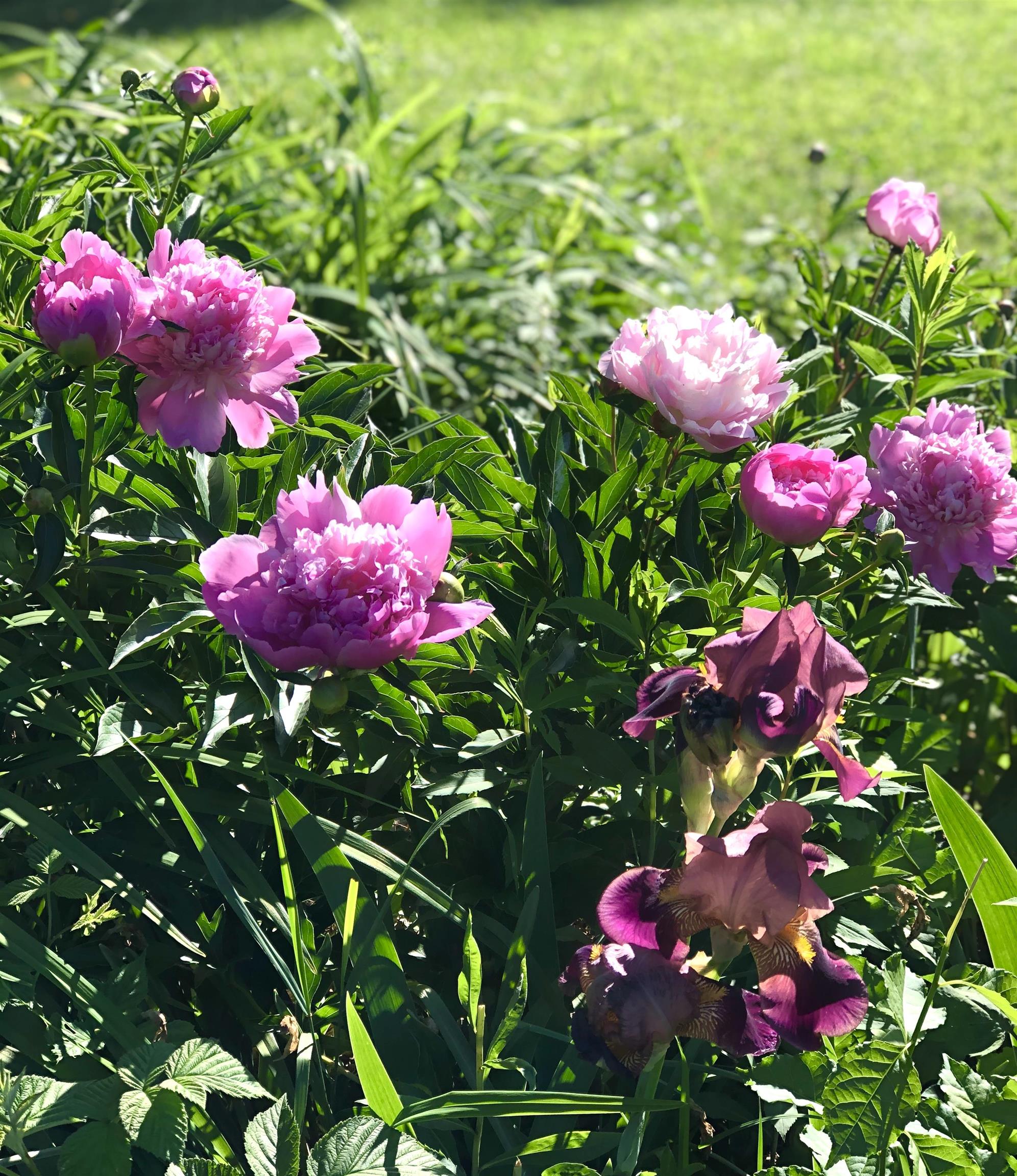 MLS #5071656 image #36