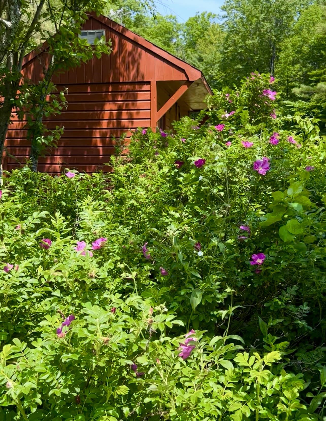 MLS #5071656 image #38