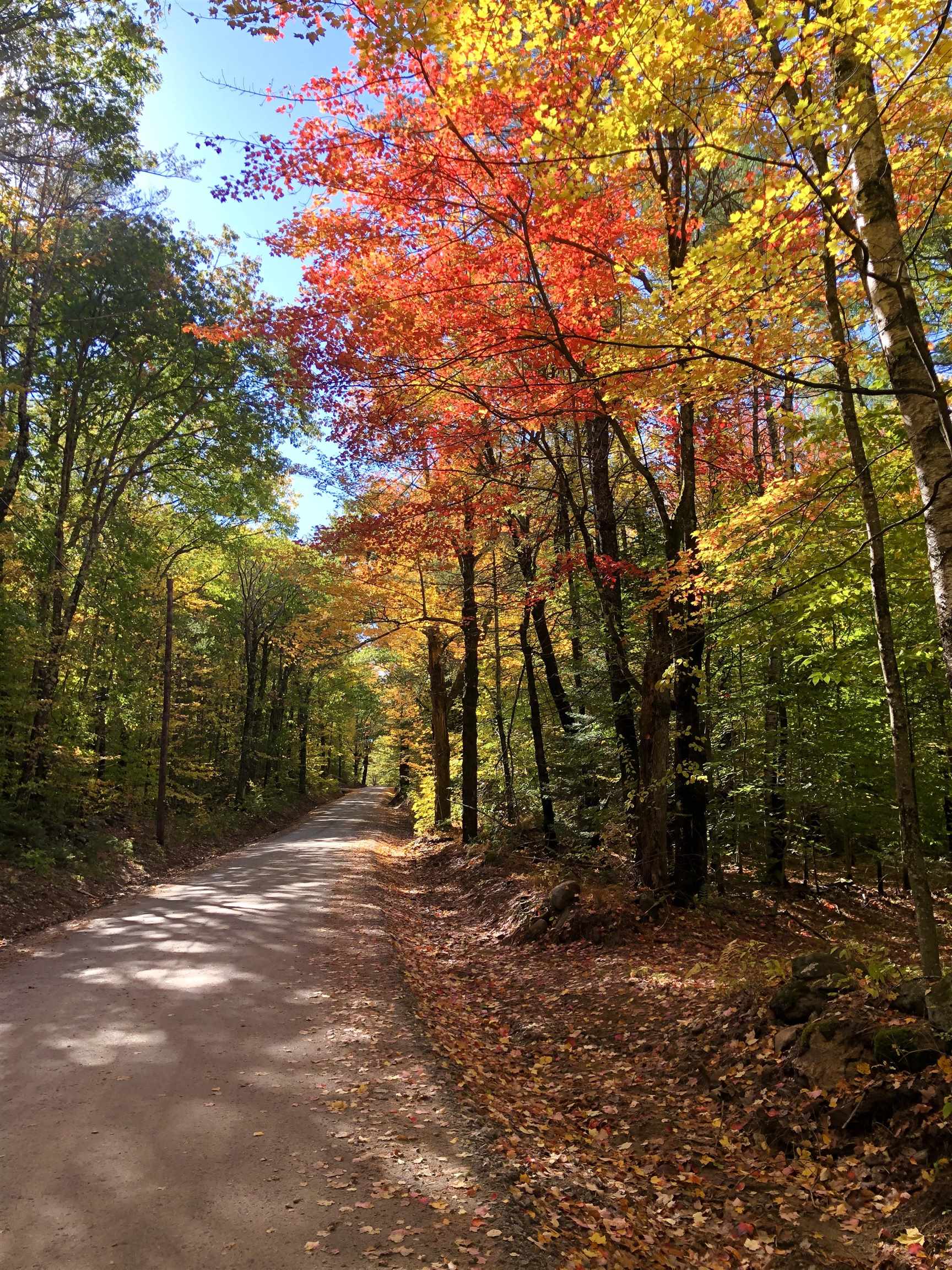 MLS #5071656 image #40