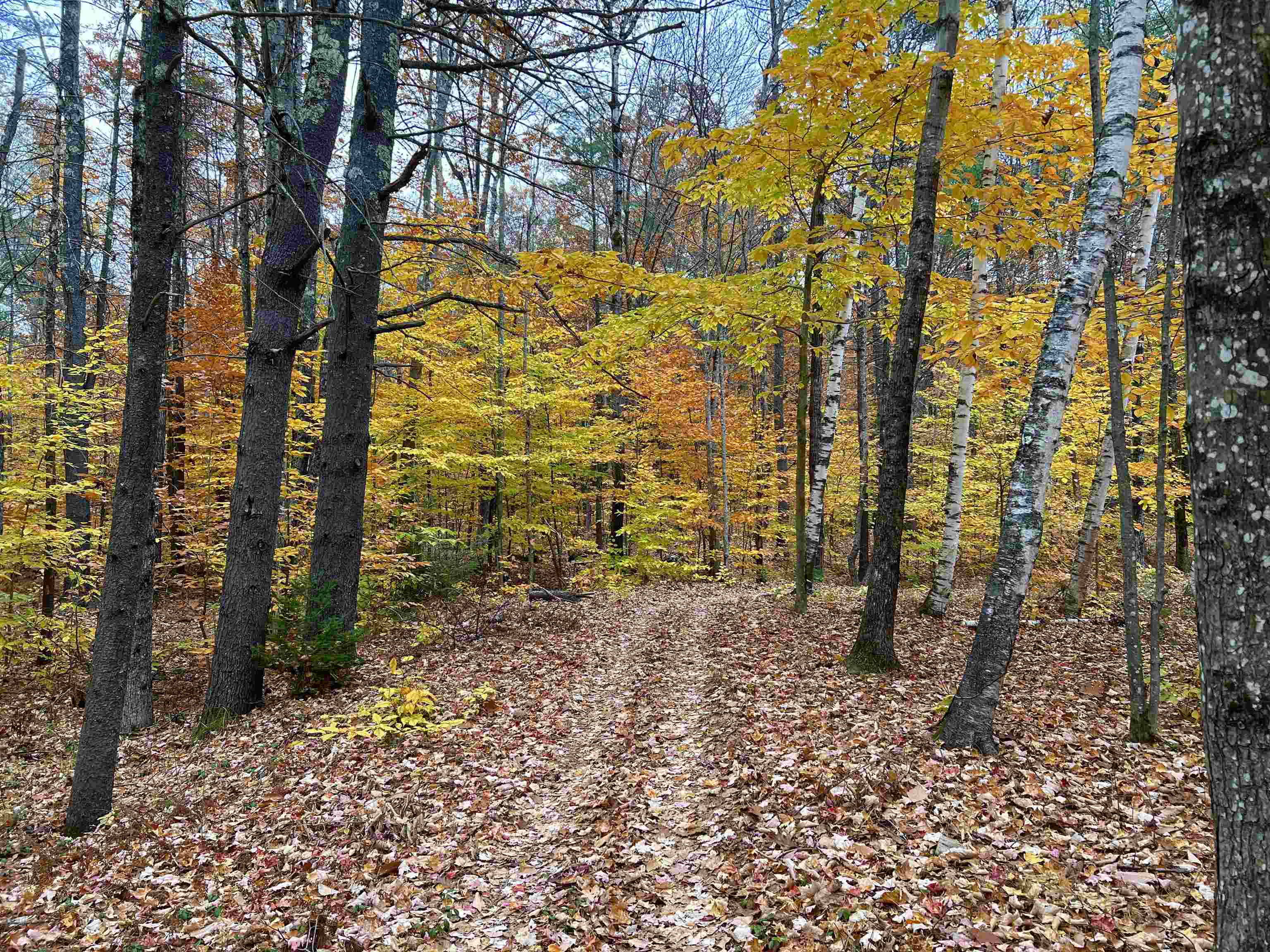 MLS #5071656 image #43