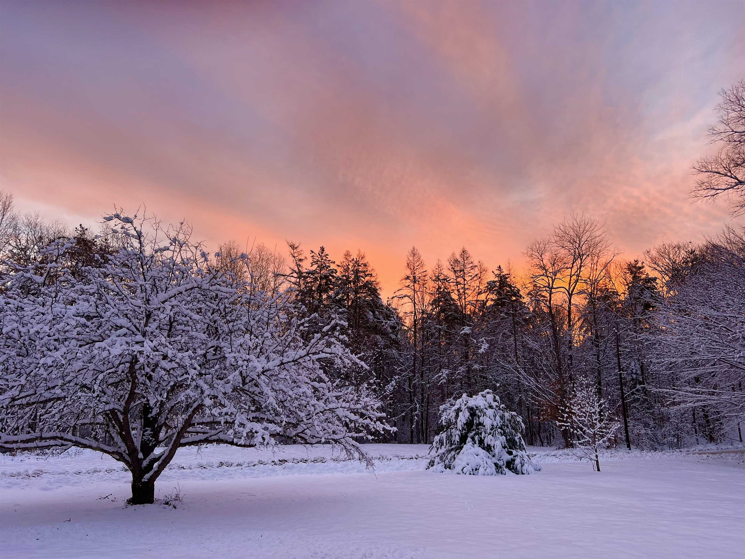 MLS #5071656 image #46