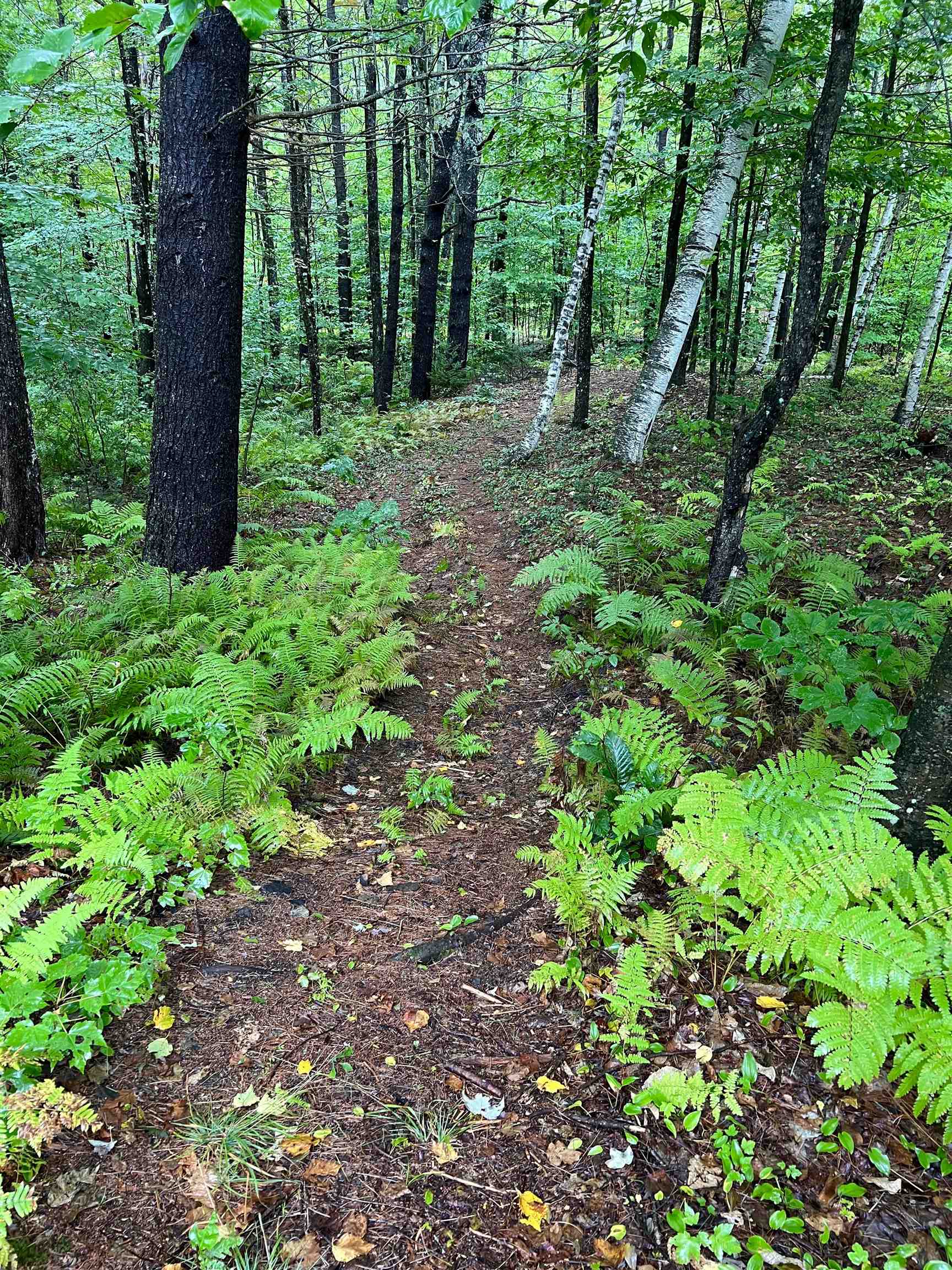 MLS #5071656 image #47