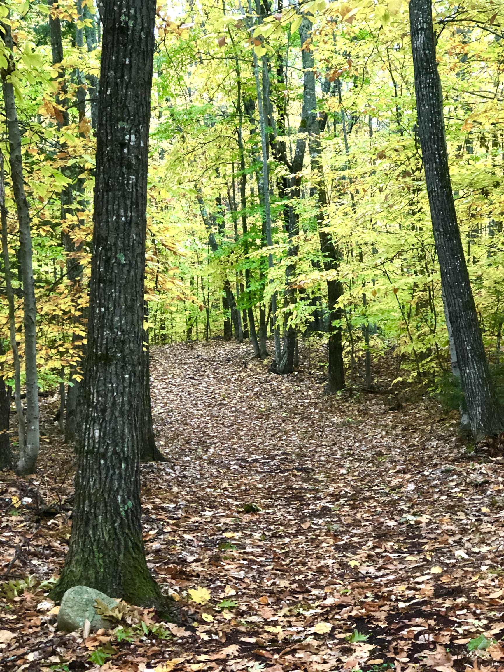 MLS #5071656 image #49