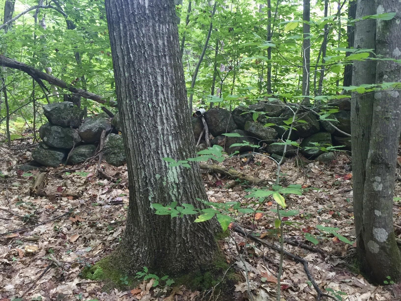 MLS #5071656 image #51