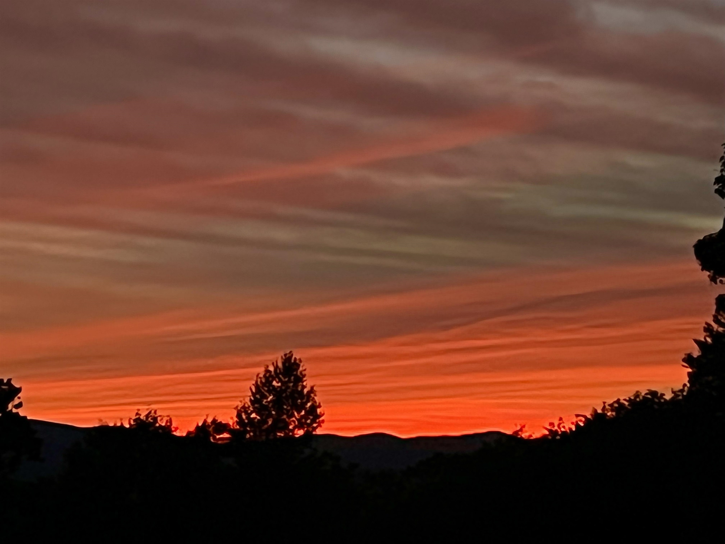 MLS #5071656 image #56