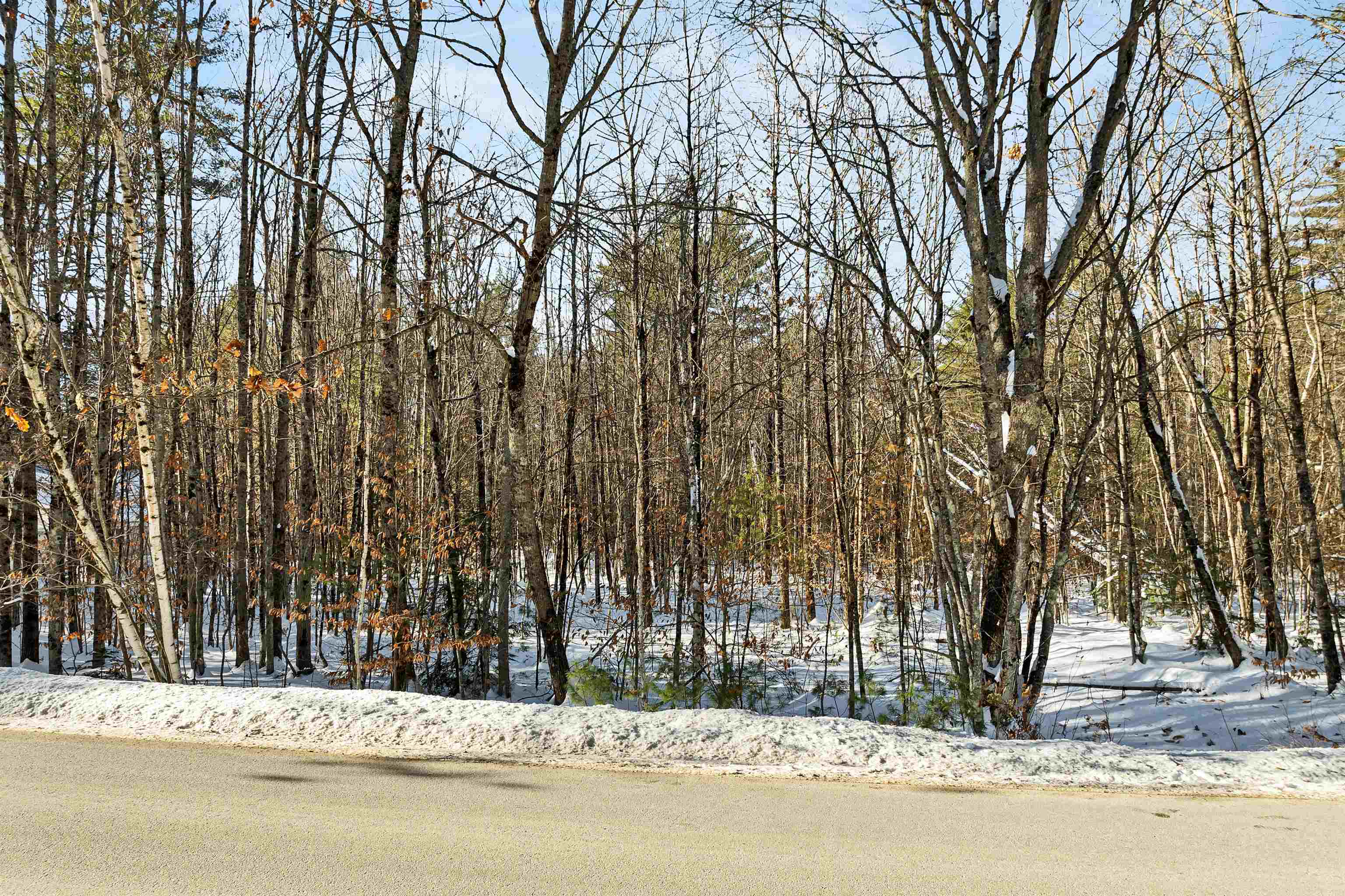 Homes for sale in Effingham, NH | 0 Green Mountain Hwy, Effingham, NH 03882 | MLS# 5071692