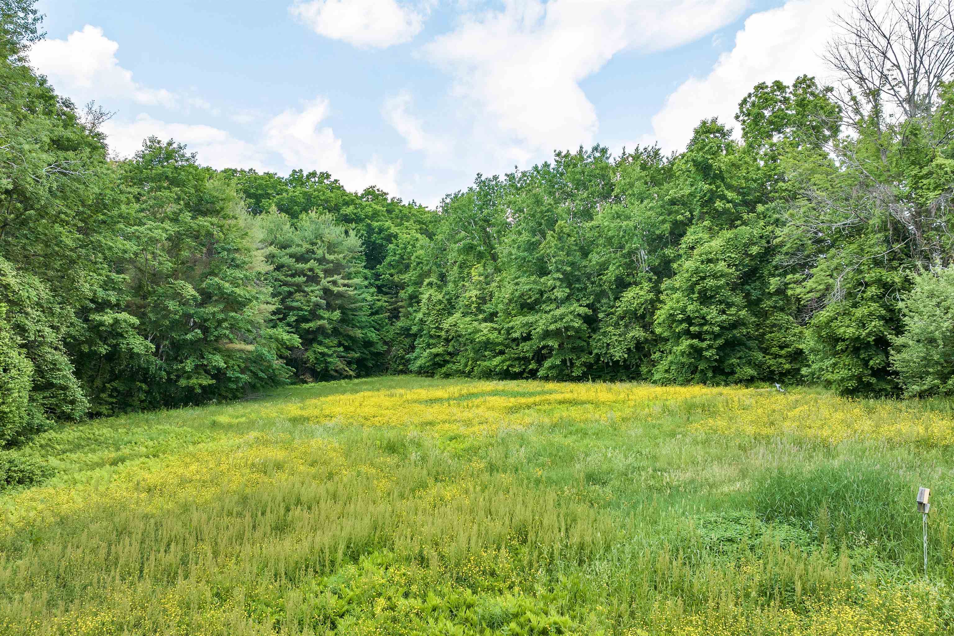 MLS #5071703 image #8