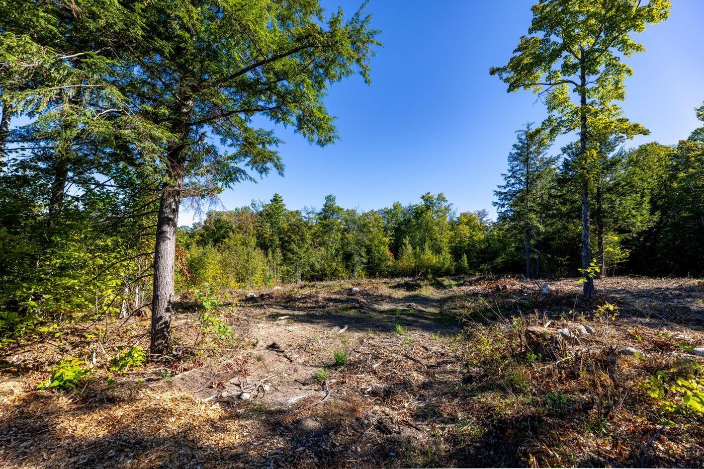 MLS #5071723 image #7