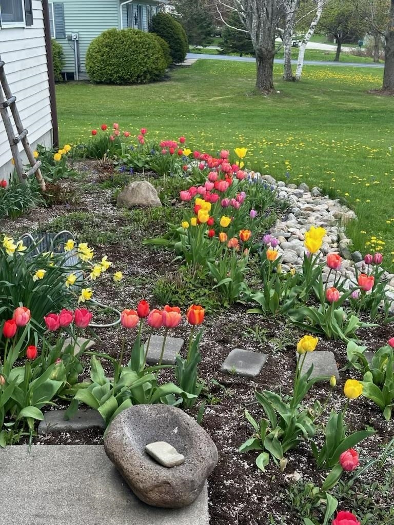 Homes for sale in Brandon, VT | 29 Mount Pleasant Dr, Brandon, VT 05733 | MLS# 5071791