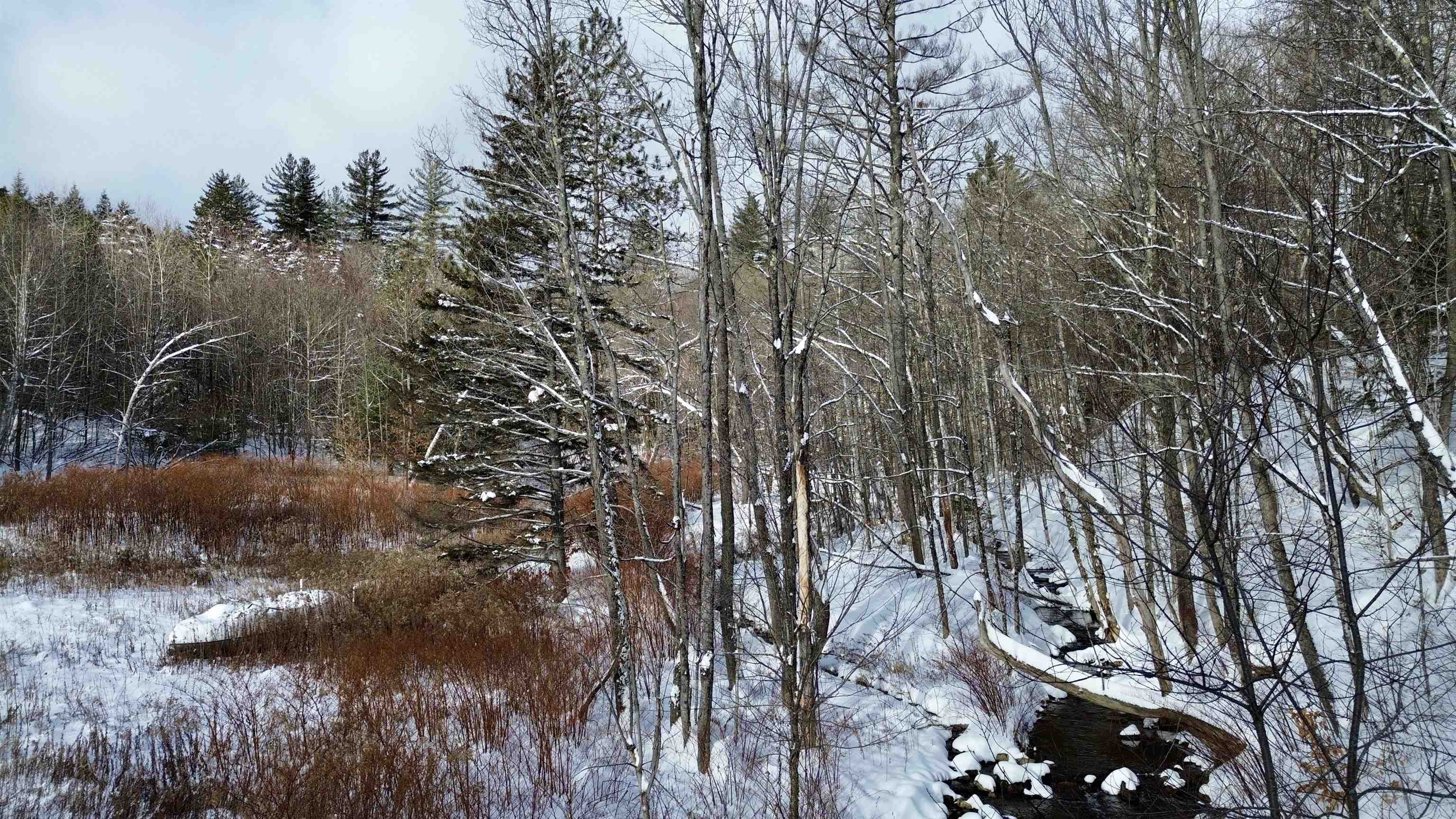 Homes for sale in Ludlow, VT | 142 Brooks Rd, Ludlow, VT 05149 | MLS# 5071842