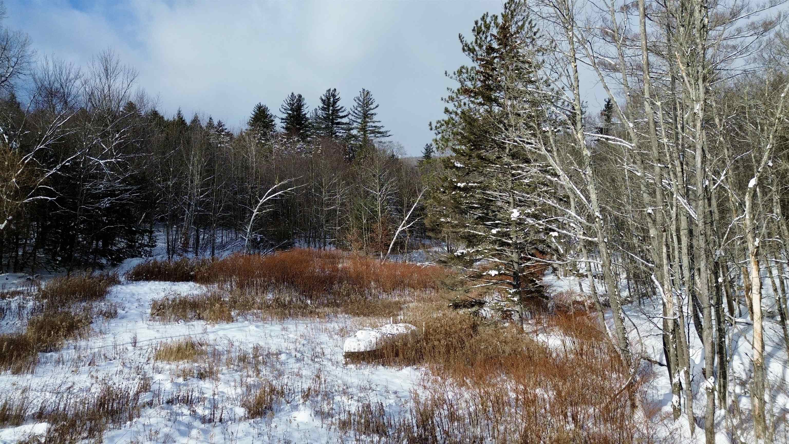 Homes for sale in Ludlow, VT | 142 Brooks Rd, Ludlow, VT 05149 | MLS# 5071842