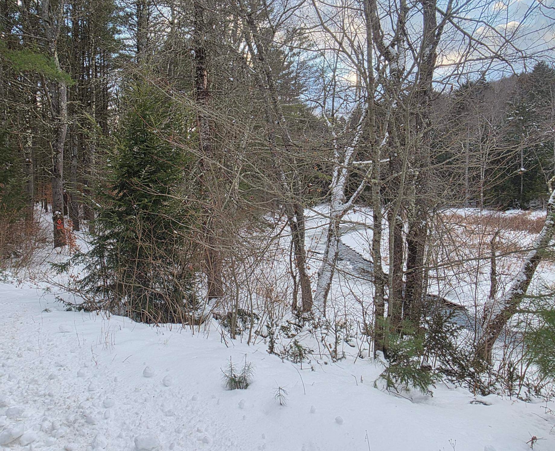 Homes for sale in Gilsum, NH | 0 Route 10 Hwy, Gilsum, NH 03448 | MLS# 5071853