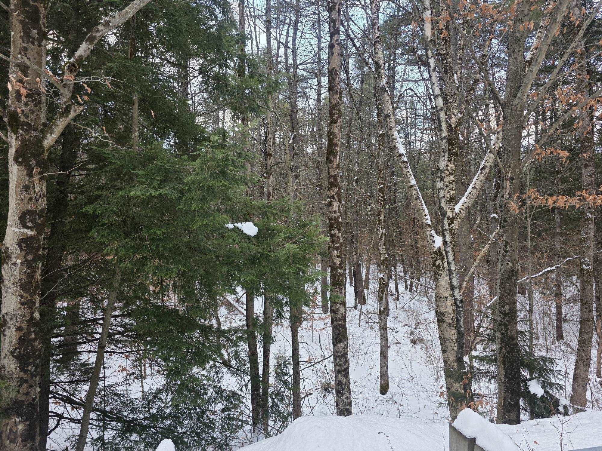 Homes for sale in Gilsum, NH | 0 Route 10 Hwy, Gilsum, NH 03448 | MLS# 5071853