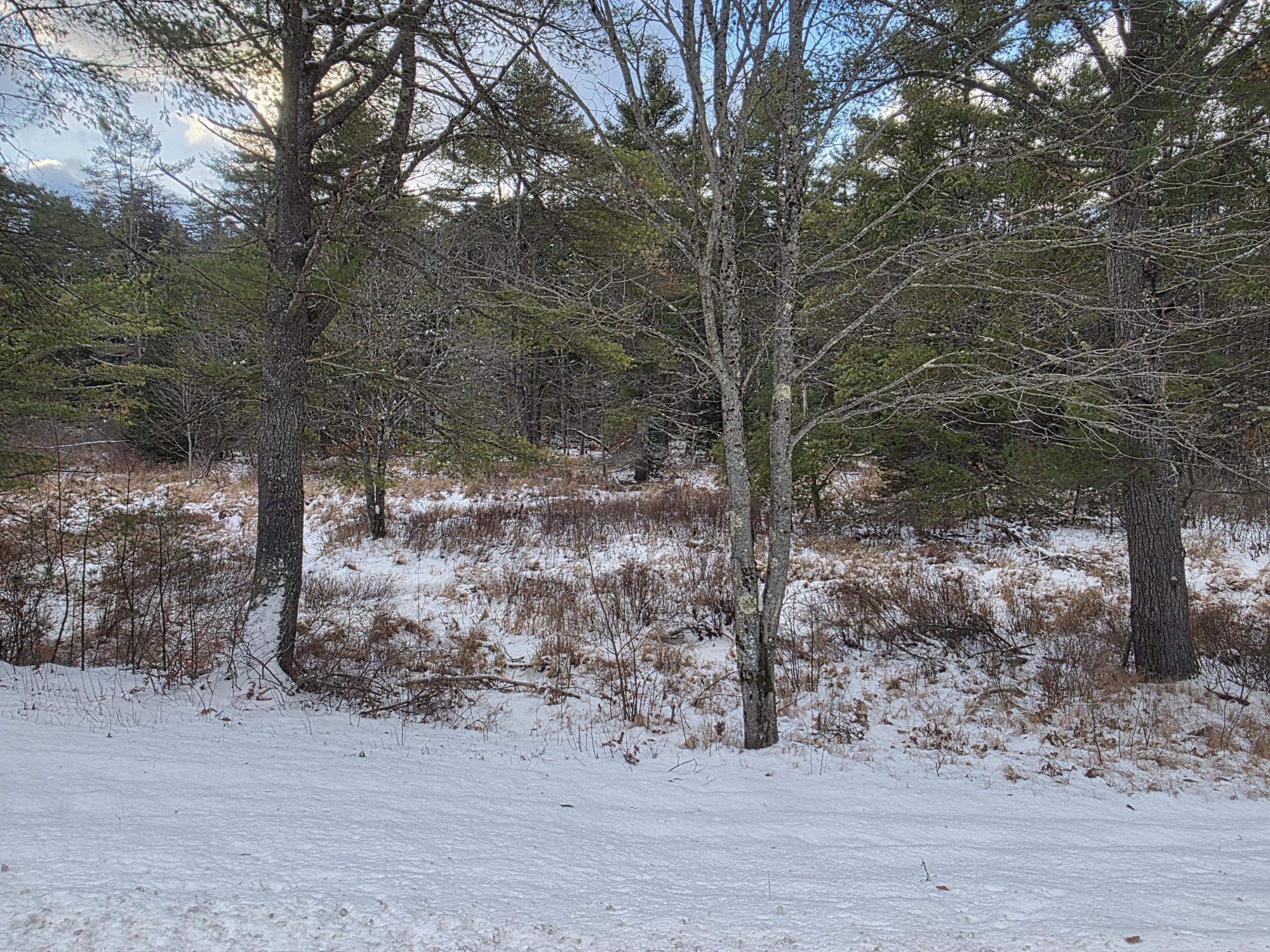 Homes for sale in Gilsum, NH | 0 Route 10 Hwy, Gilsum, NH 03448 | MLS# 5071853