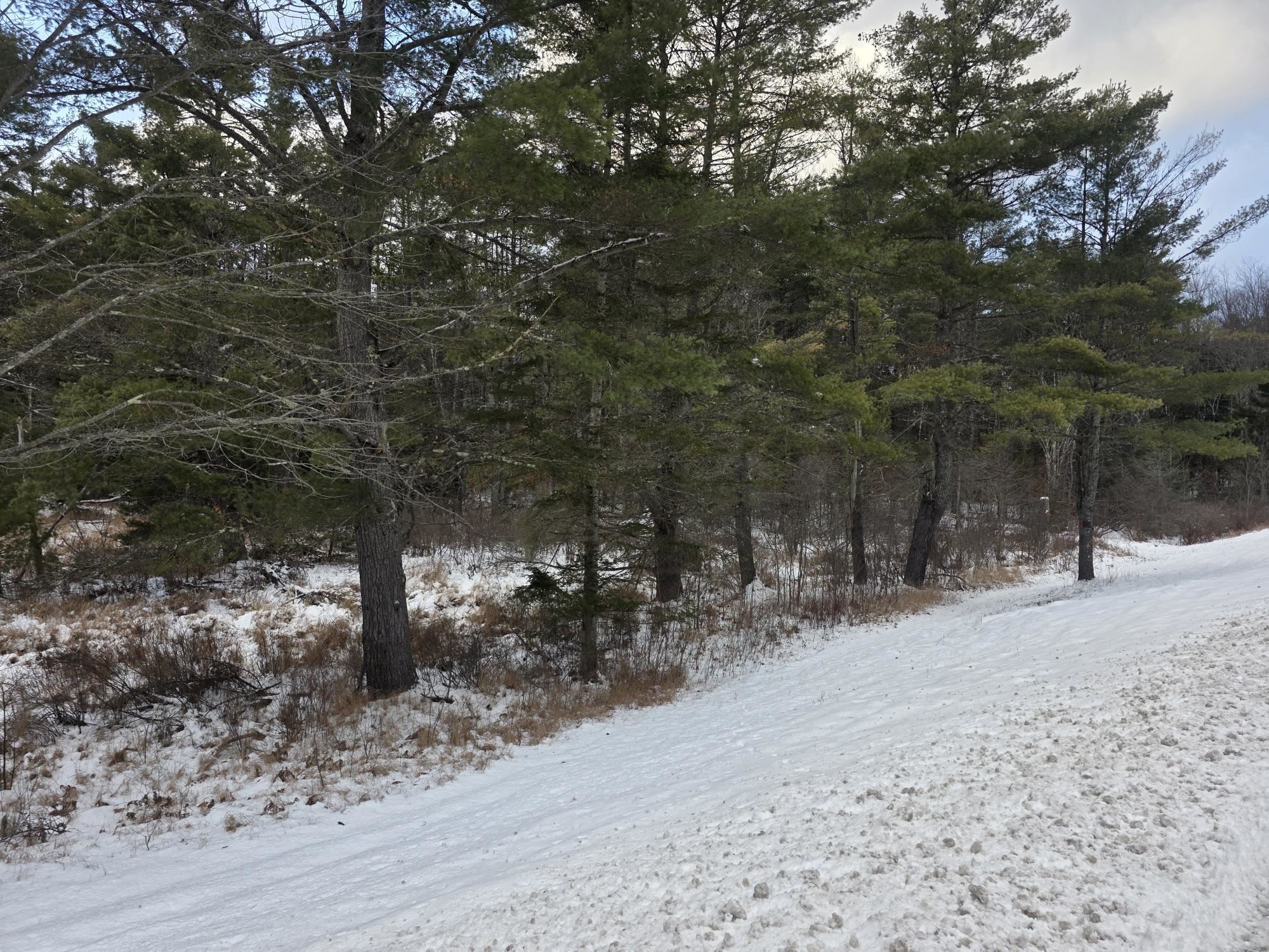 Homes for sale in Gilsum, NH | 0 Route 10 Hwy, Gilsum, NH 03448 | MLS# 5071853