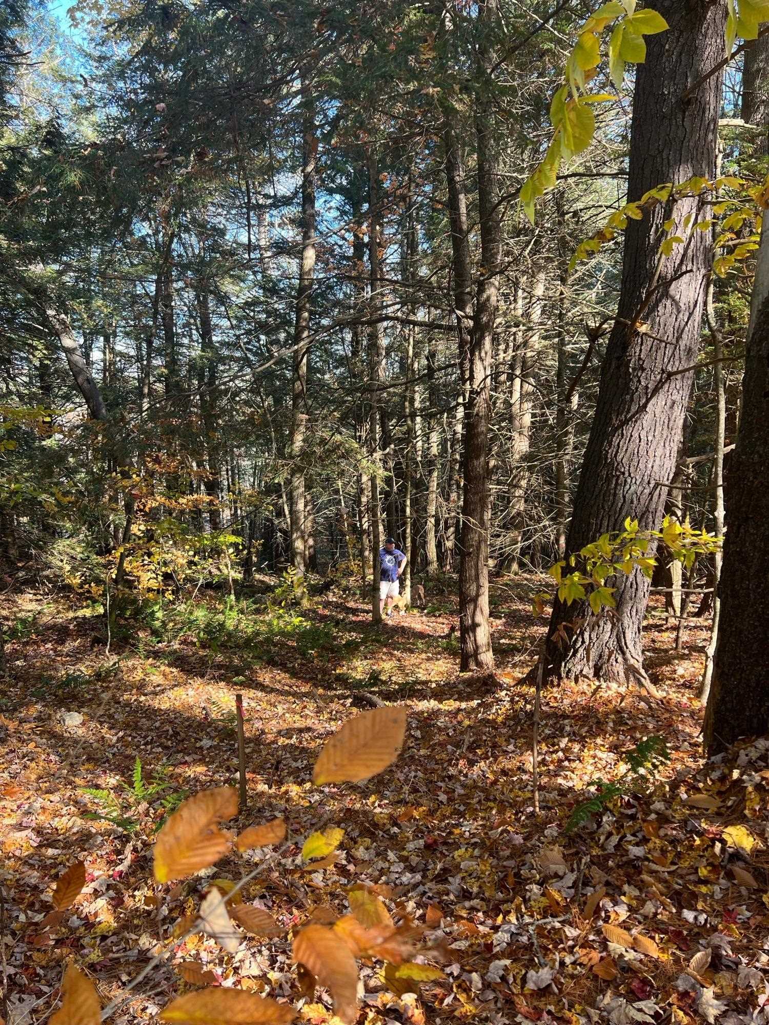 Lot 2 Laurel Ln, Wilmot, NH 03287