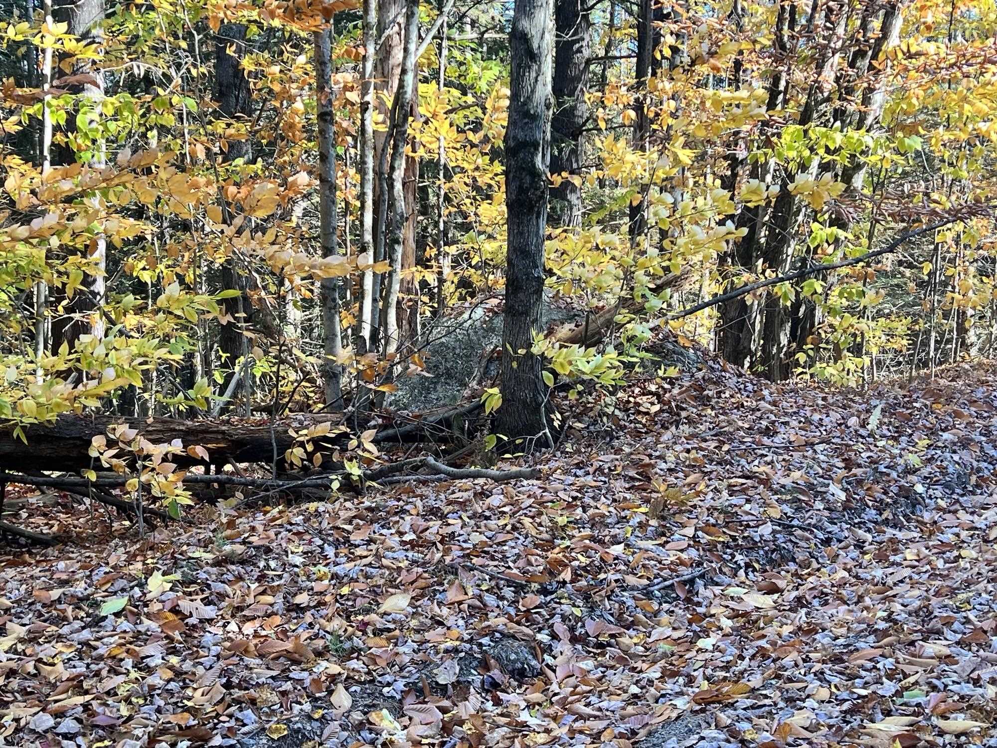 Lot 2 Laurel Ln, Wilmot, NH 03287