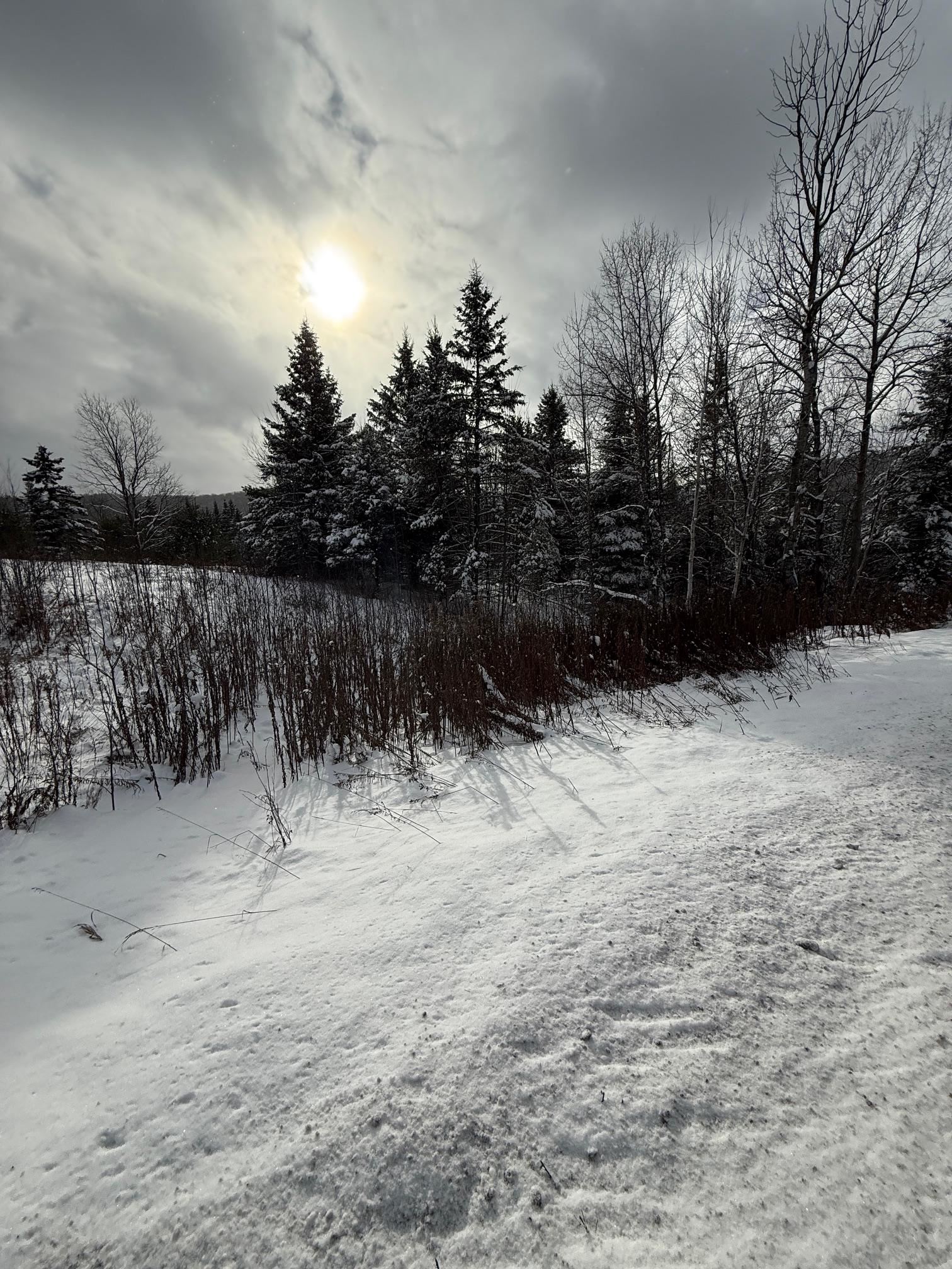 Homes for sale in Danville, VT | On Us Route 2 W, Danville, VT 05828 | MLS# 5071887