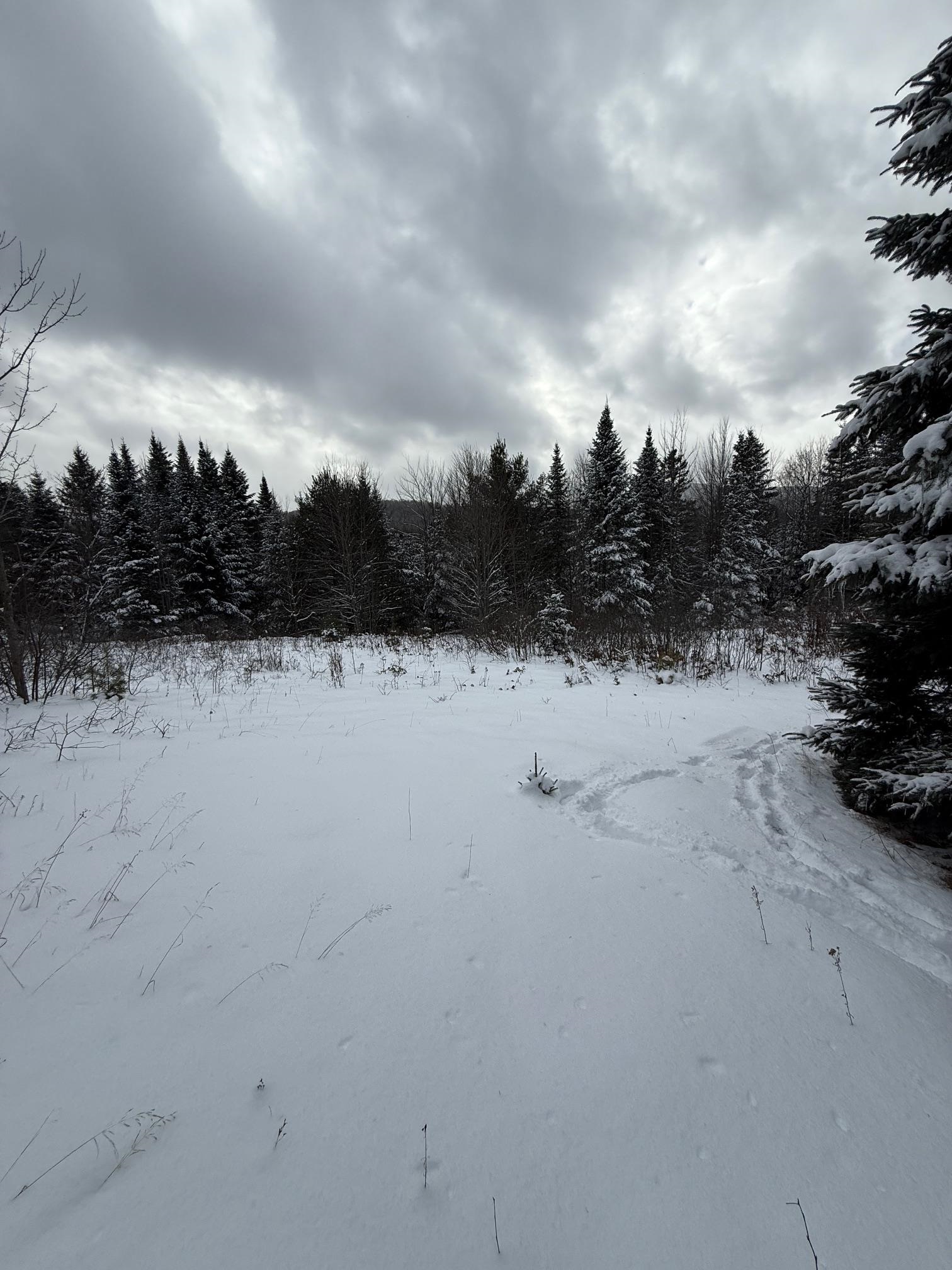 Homes for sale in Danville, VT | On Us Route 2 W, Danville, VT 05828 | MLS# 5071887