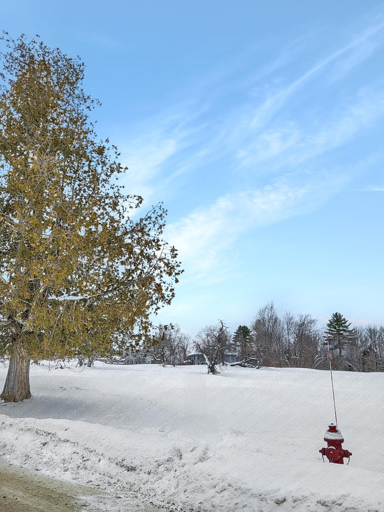 Homes for sale in Whitefield, NH | 000 Mountain View Rd, Whitefield, NH 03598 | MLS# 5071914