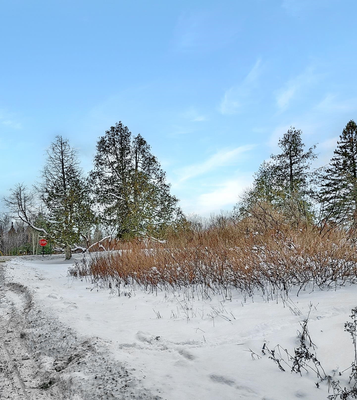 Homes for sale in Whitefield, NH | 000 Mountain View Rd, Whitefield, NH 03598 | MLS# 5071914