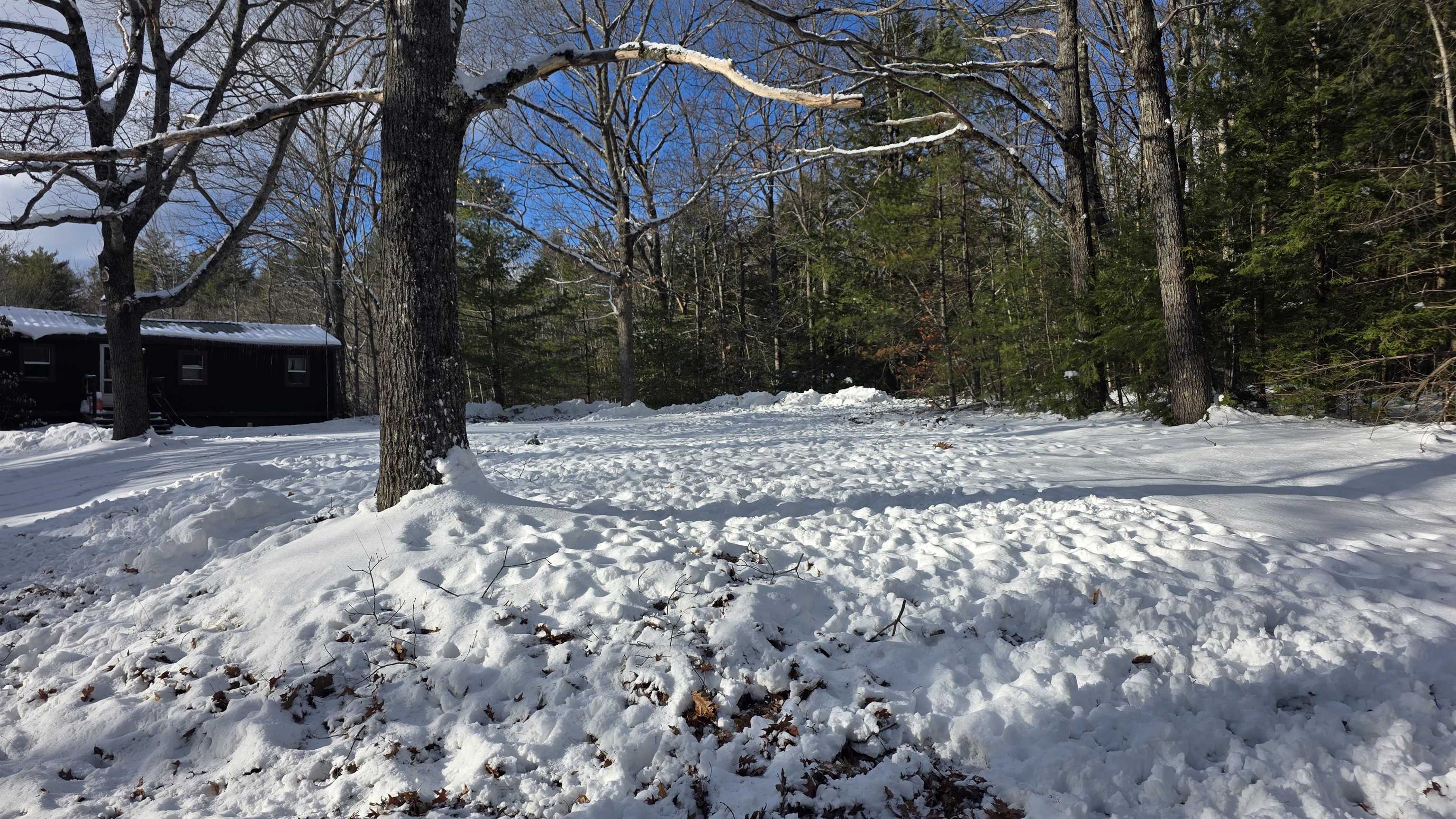 MLS #5071957 image #12