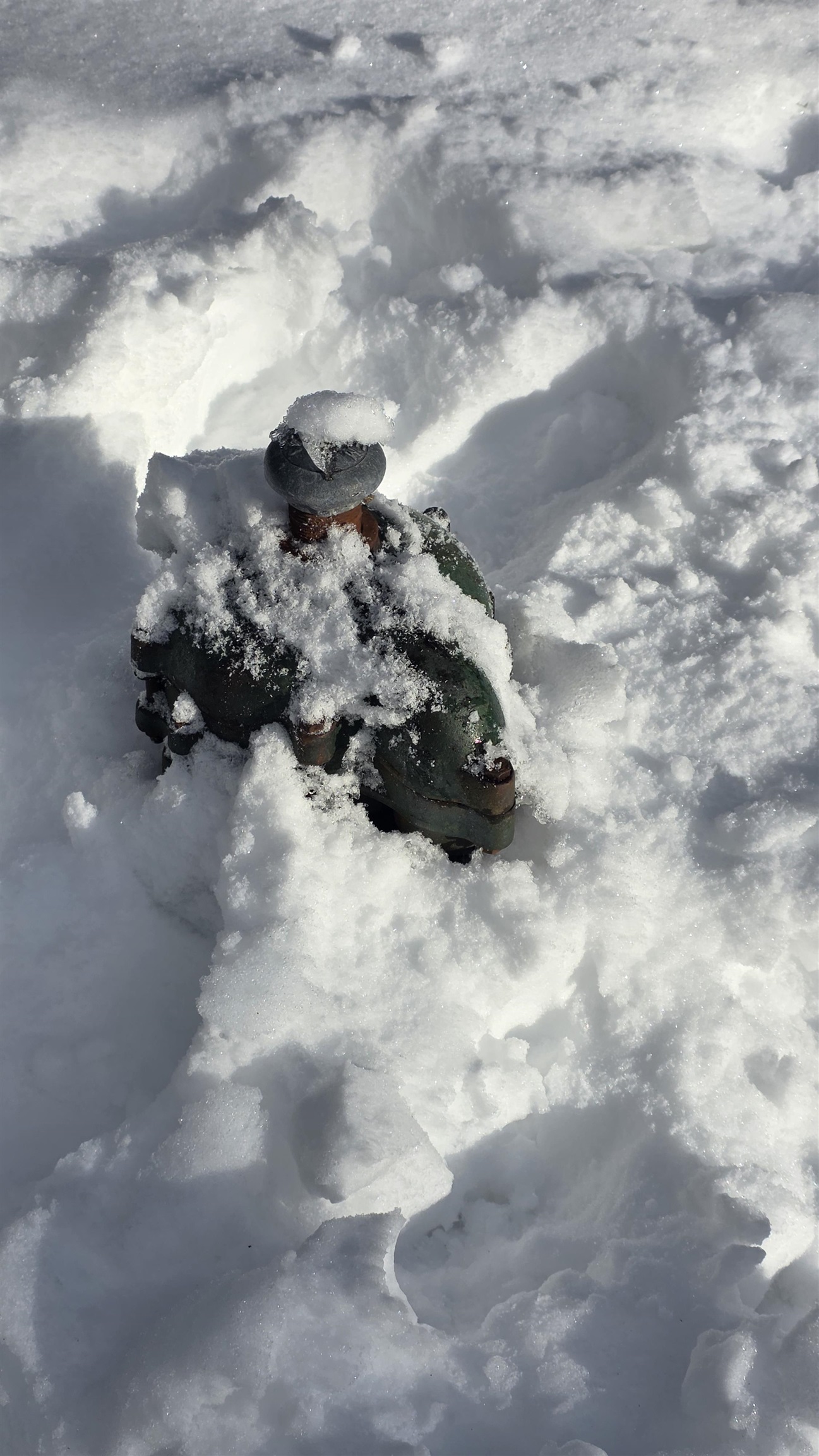 MLS #5071957 image #9