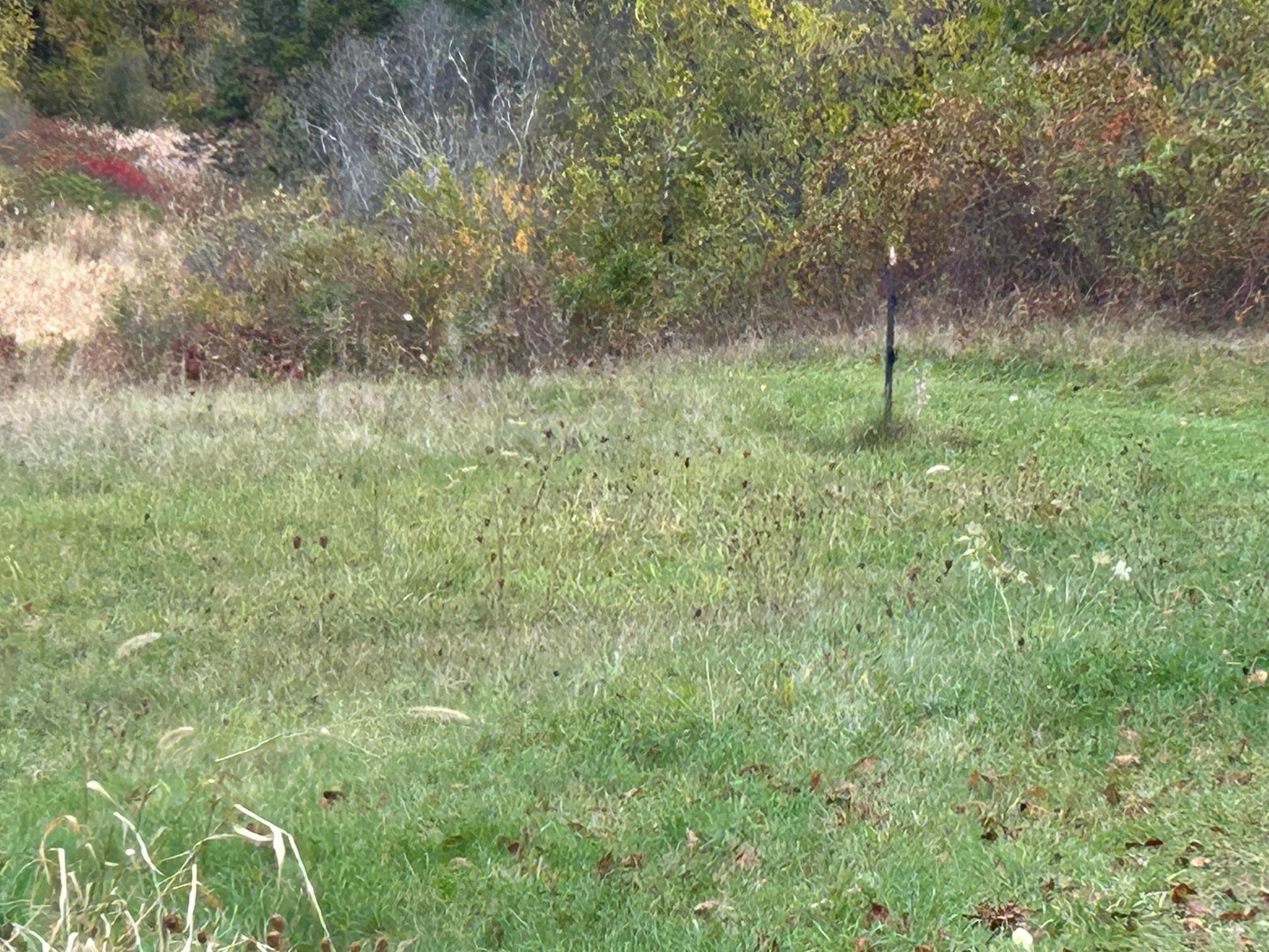 Homes for sale in Kensington, NH | 182 Drinkwater Rd, Kensington, NH 03833 | MLS# 5071960