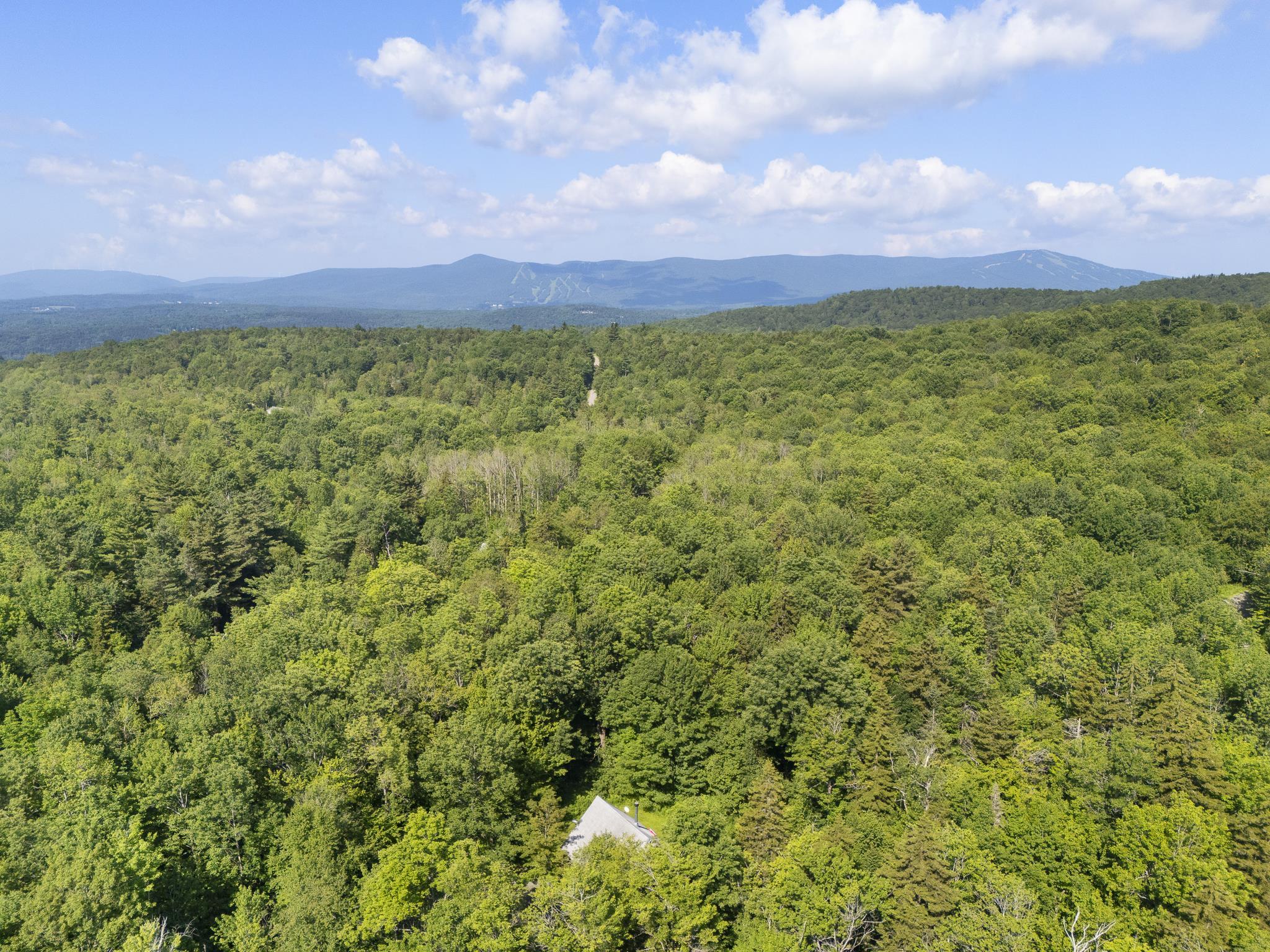 Homes for sale in Dover, VT | 6 Timberview Rd, Dover, VT 05356 | MLS# 5071969