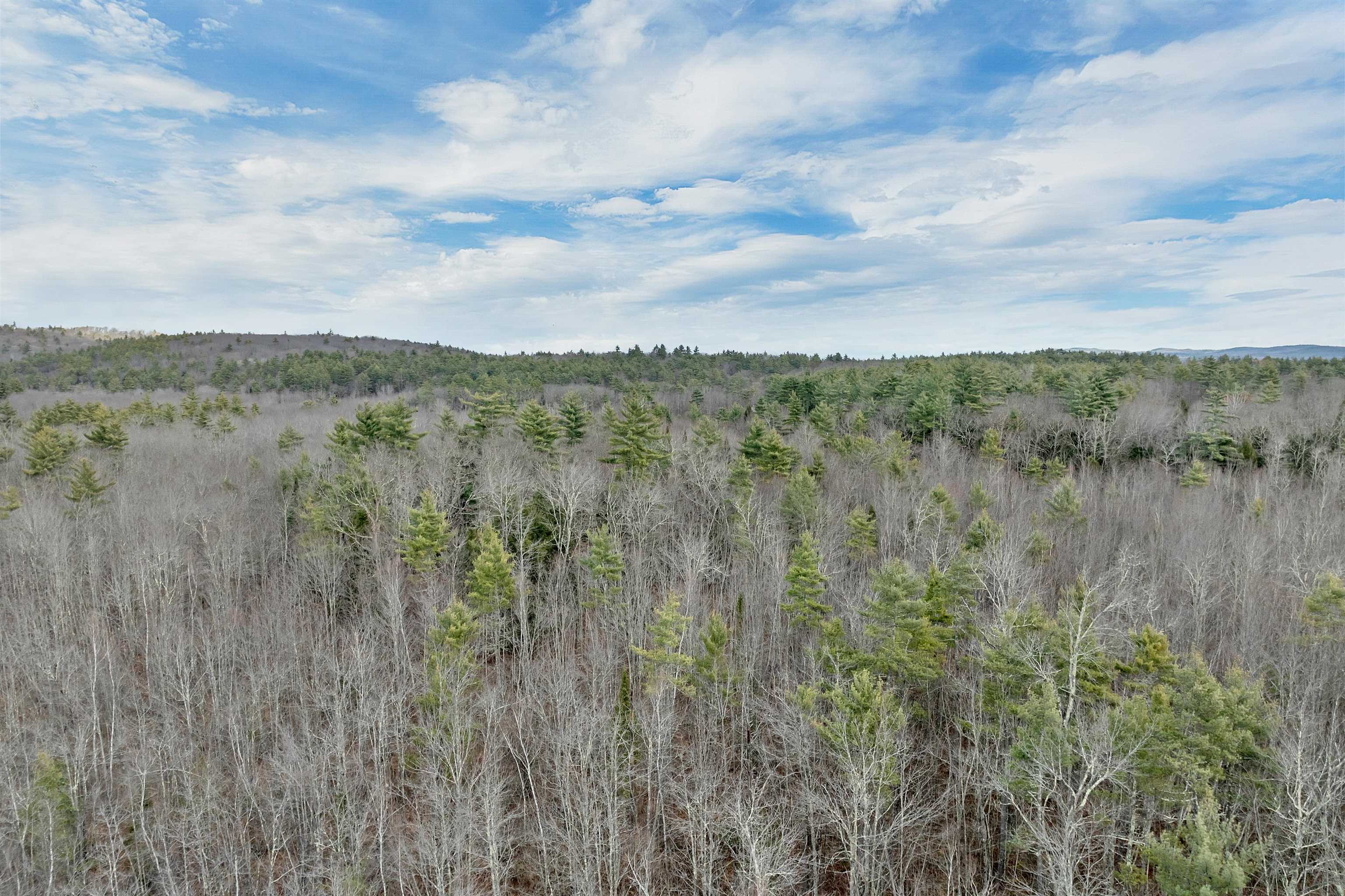 MLS #5071990 image #12