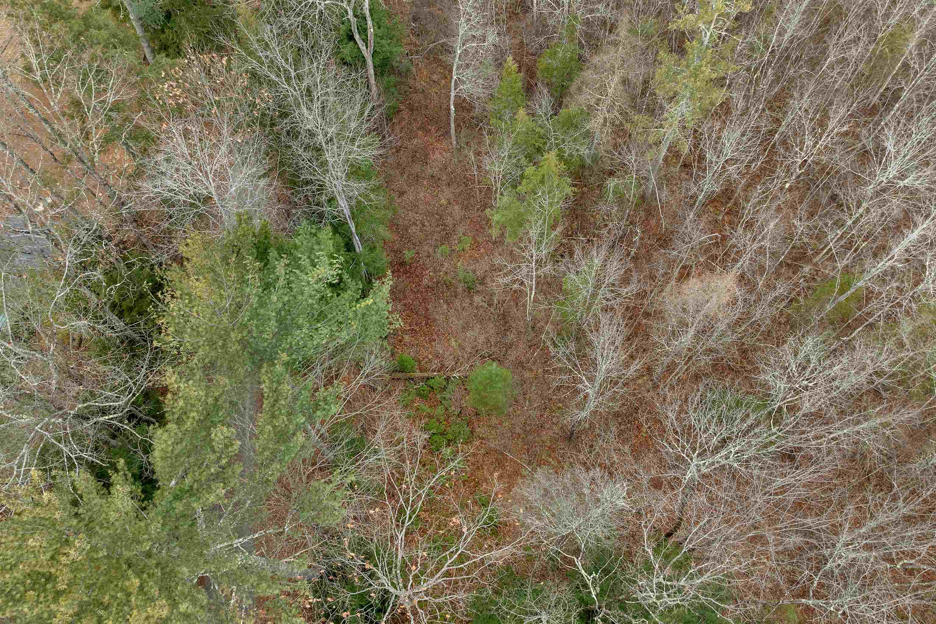 MLS #5071990 image #15