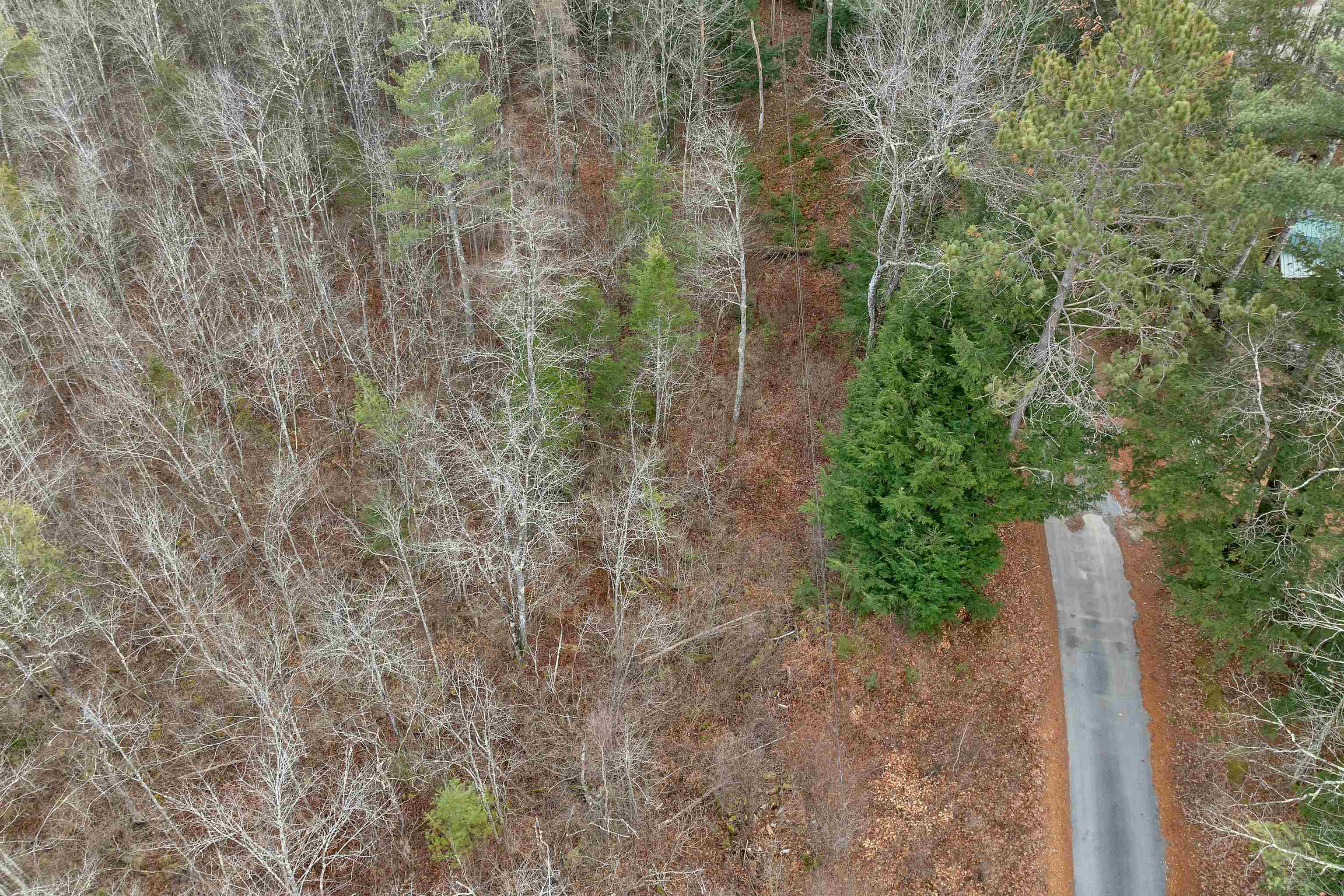 MLS #5071990 image #16