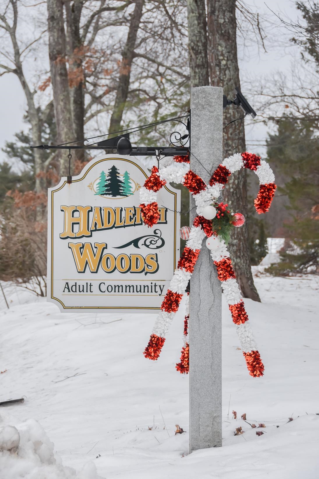 Homes for sale in Windham, NH | 46 Hadleigh Rd, Windham, NH 03087 | MLS# 5072009